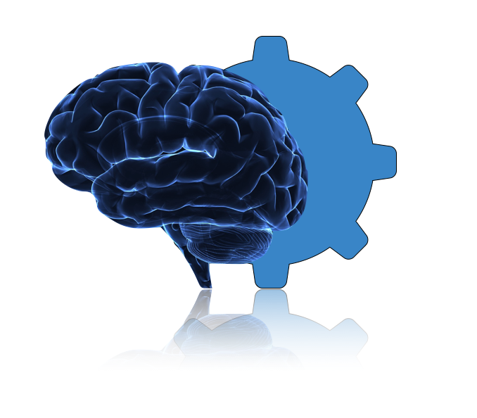 brain_gear.jpg
