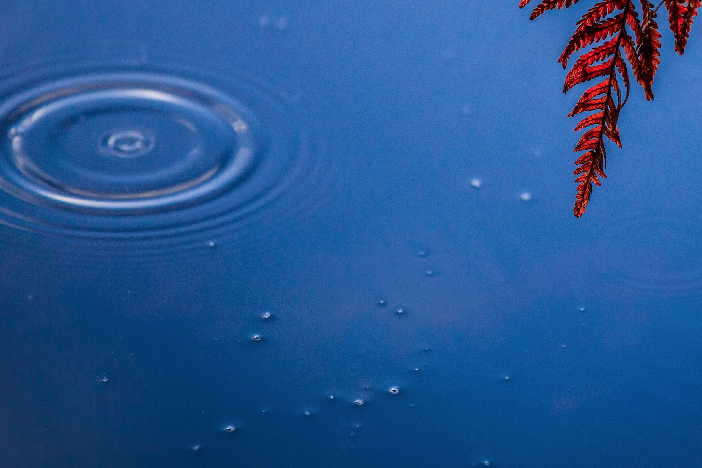 20130811_0402-Edit.jpg