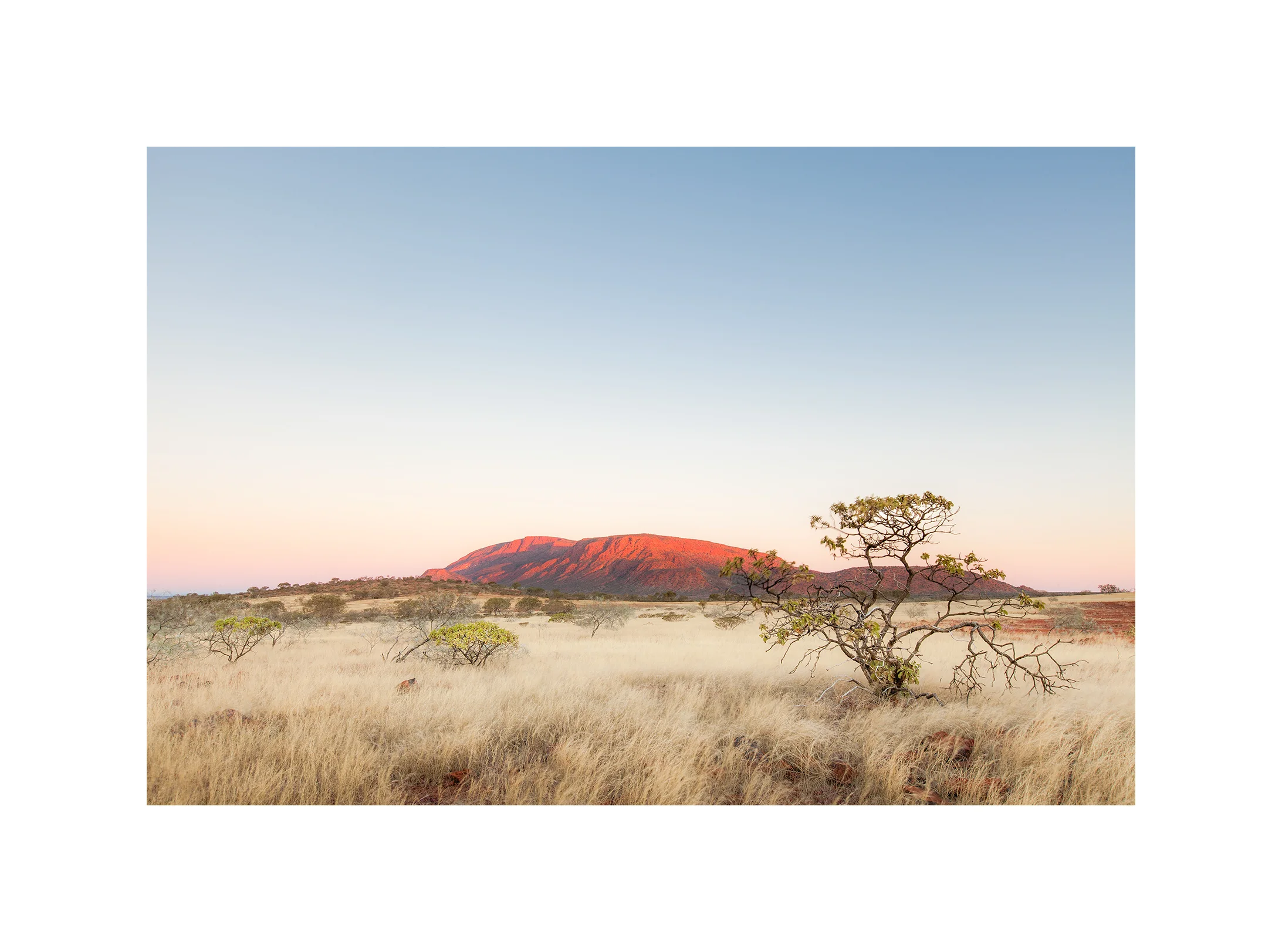 Mt Augustus Light