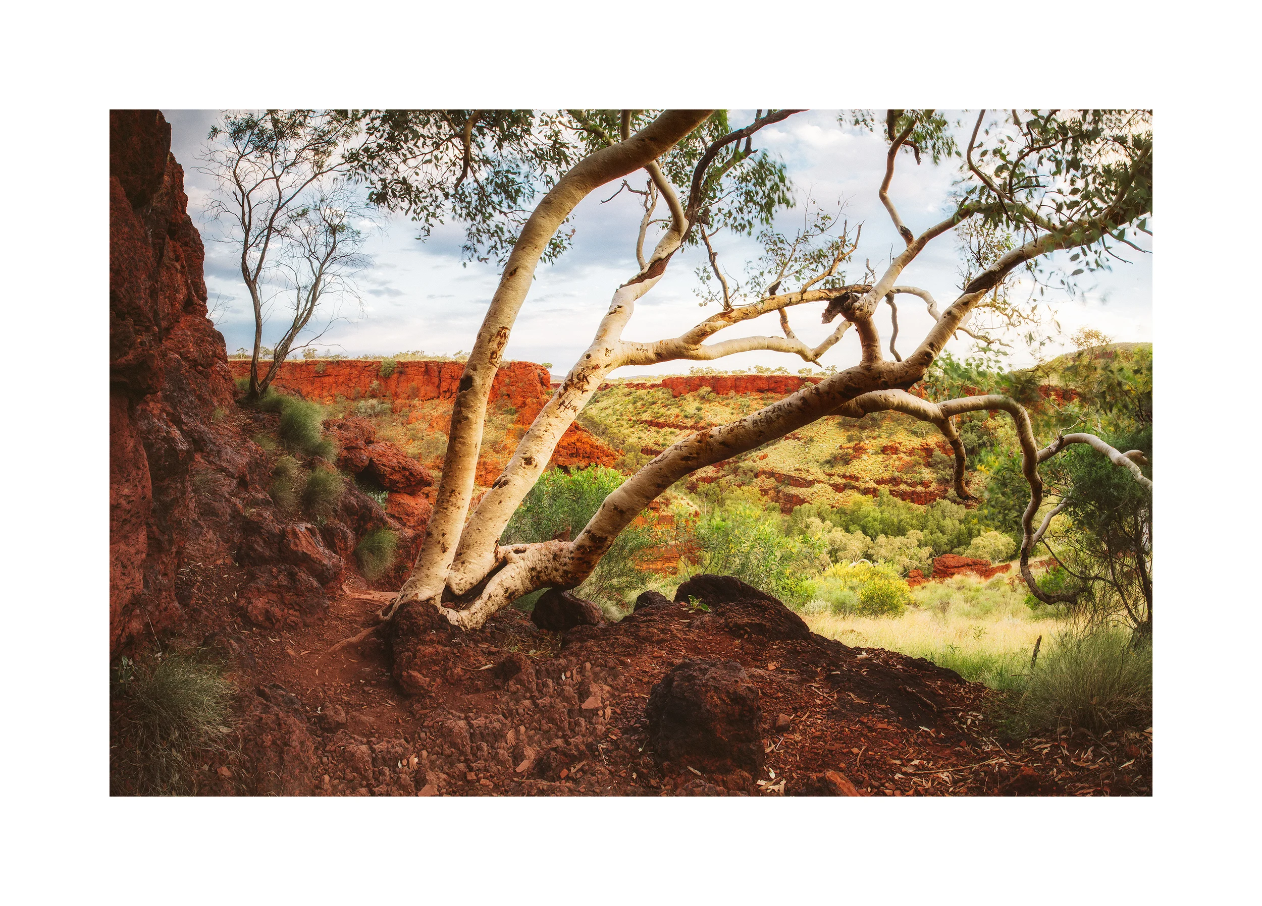 Karijini Gorges Green