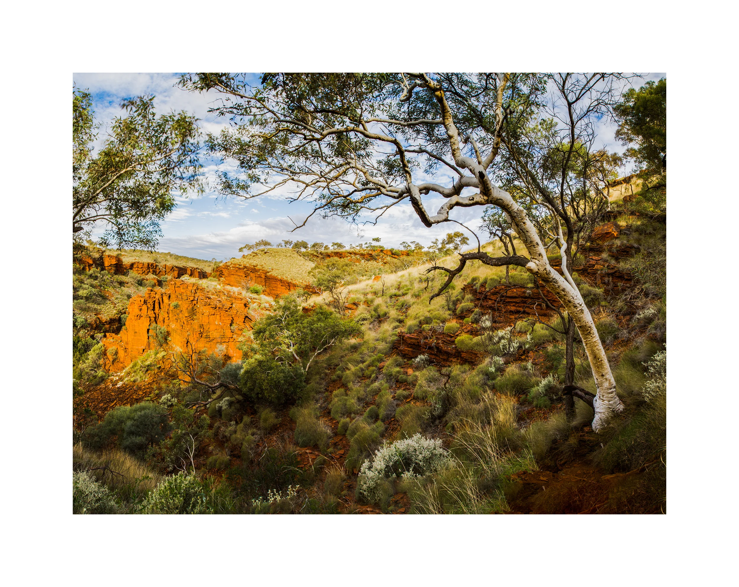 Karijini Gorges White