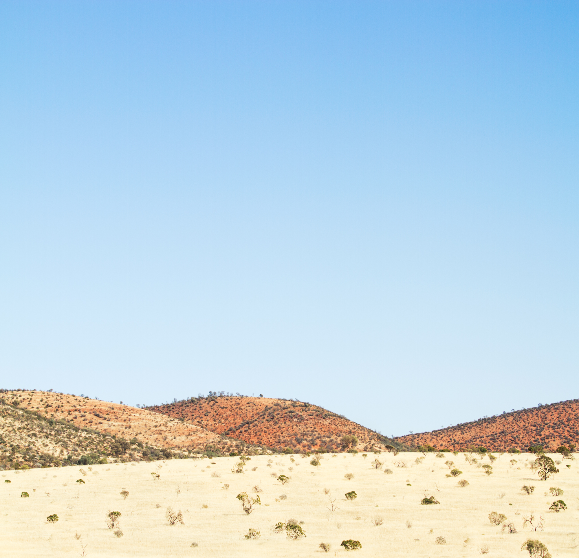 gascoyne pattern web-1.jpg