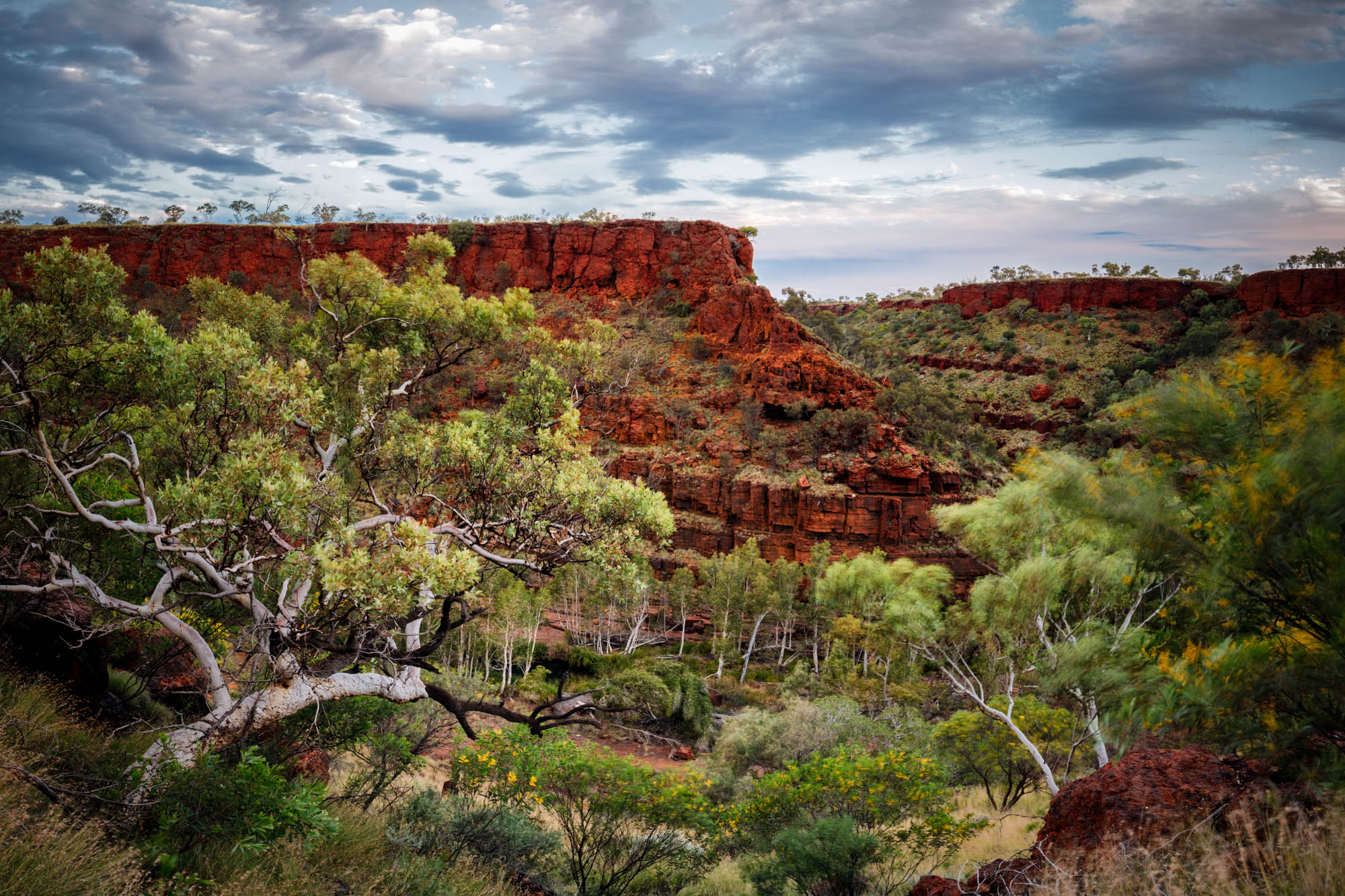 IMG_9190-Pano-Edit.jpg