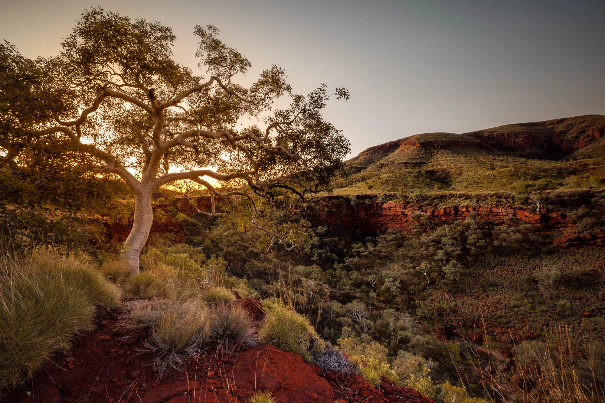 Karijini Gorges Green
