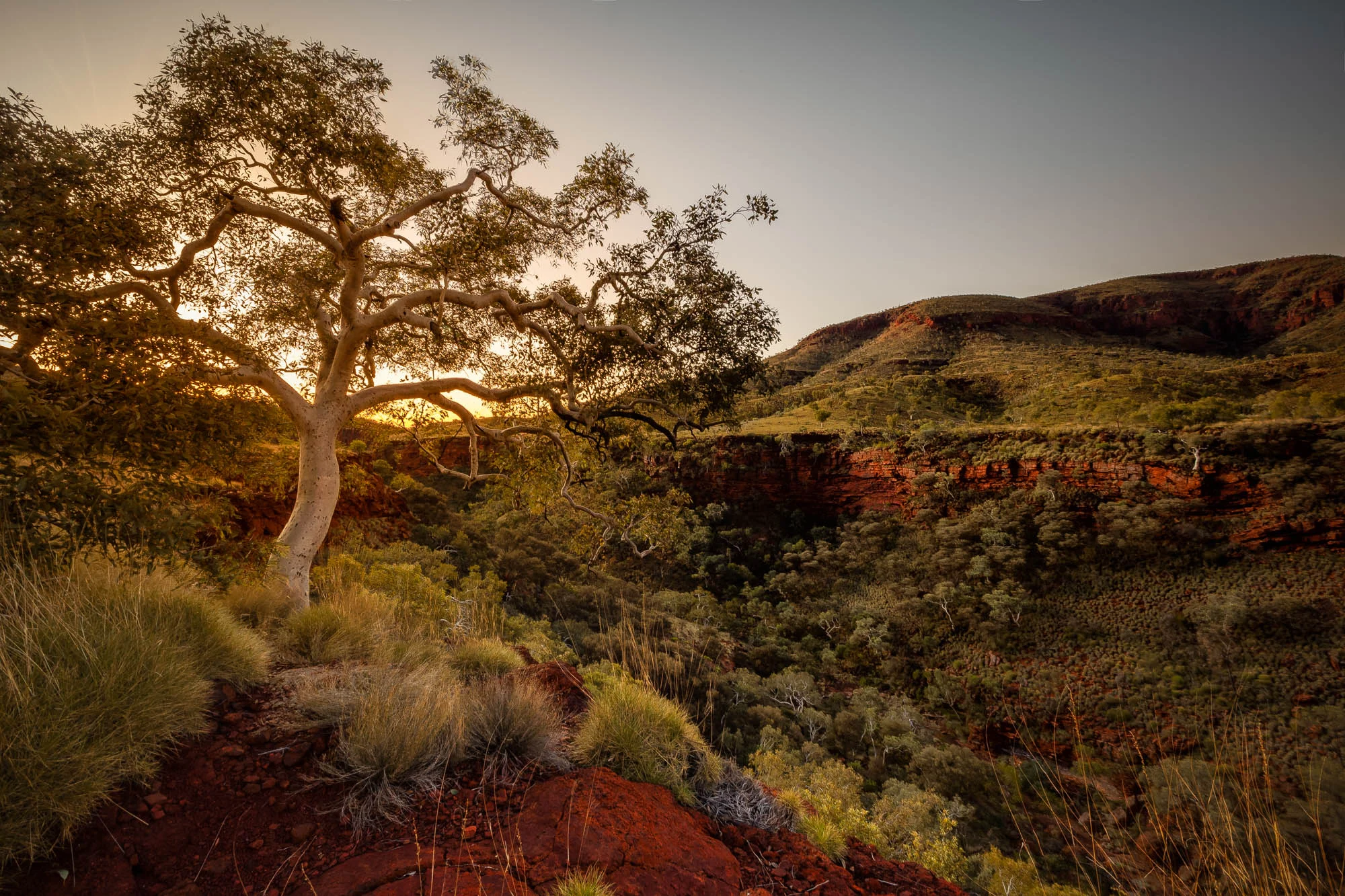 karijini green.jpg
