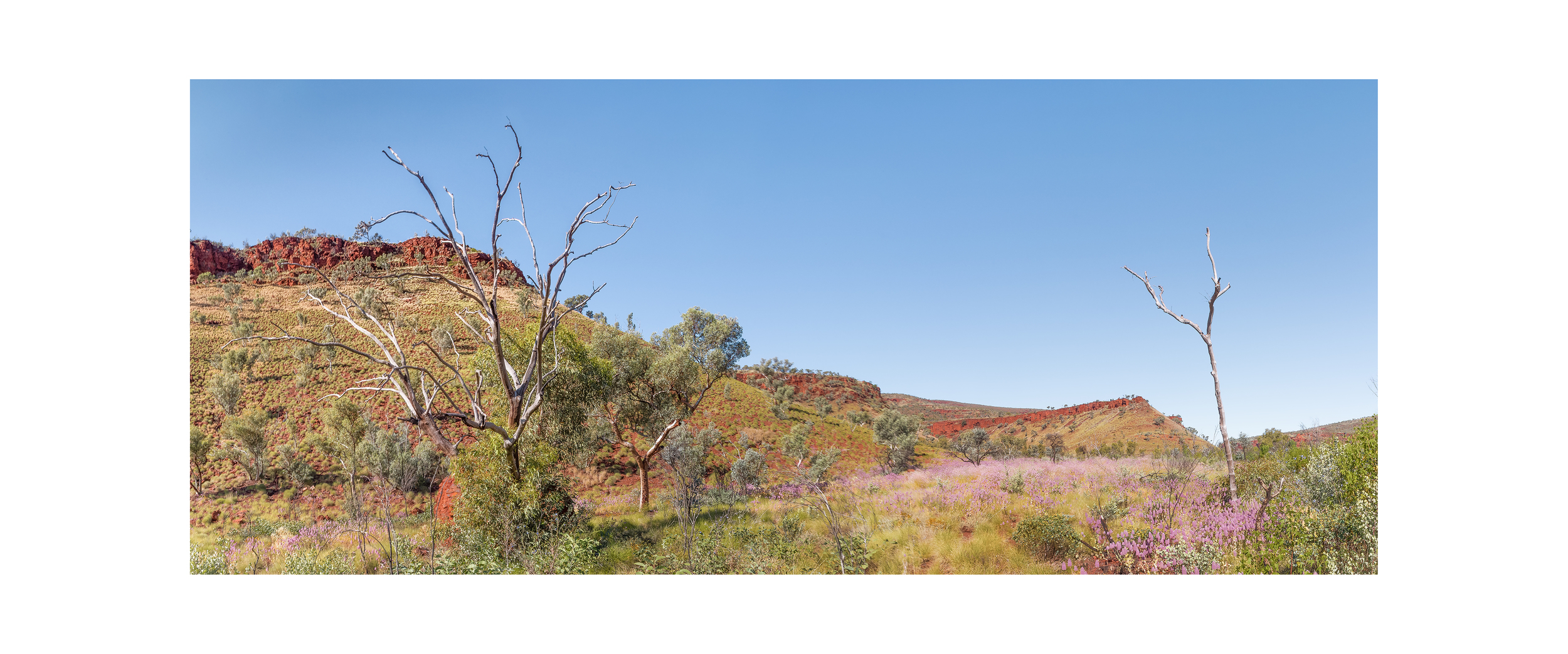 pano karijini.jpg