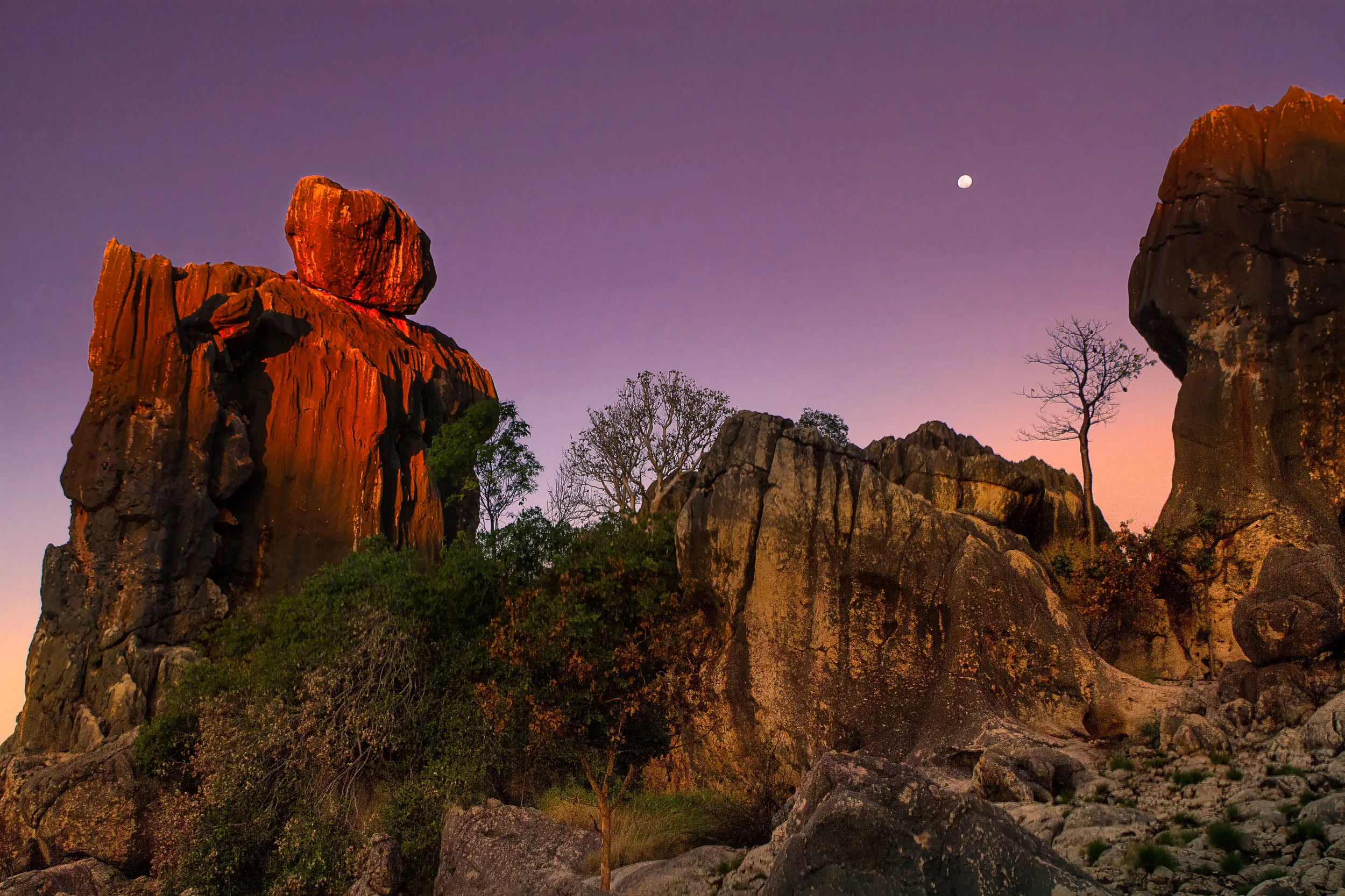 Kimberley Moon