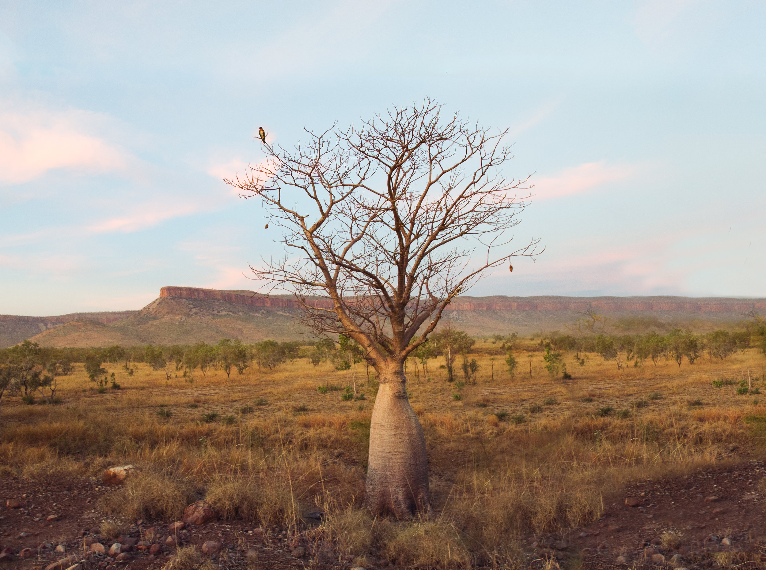 cockburn ranges-Edit final.jpg