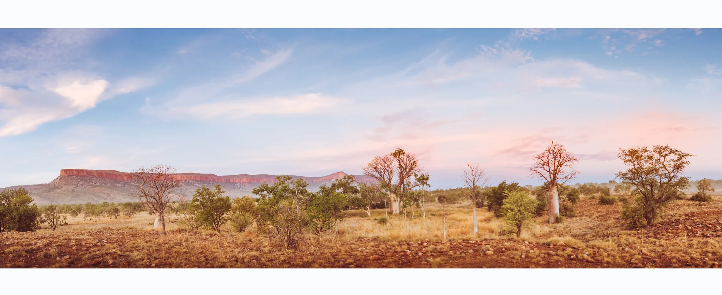 Cockburn Ranges - Panorama