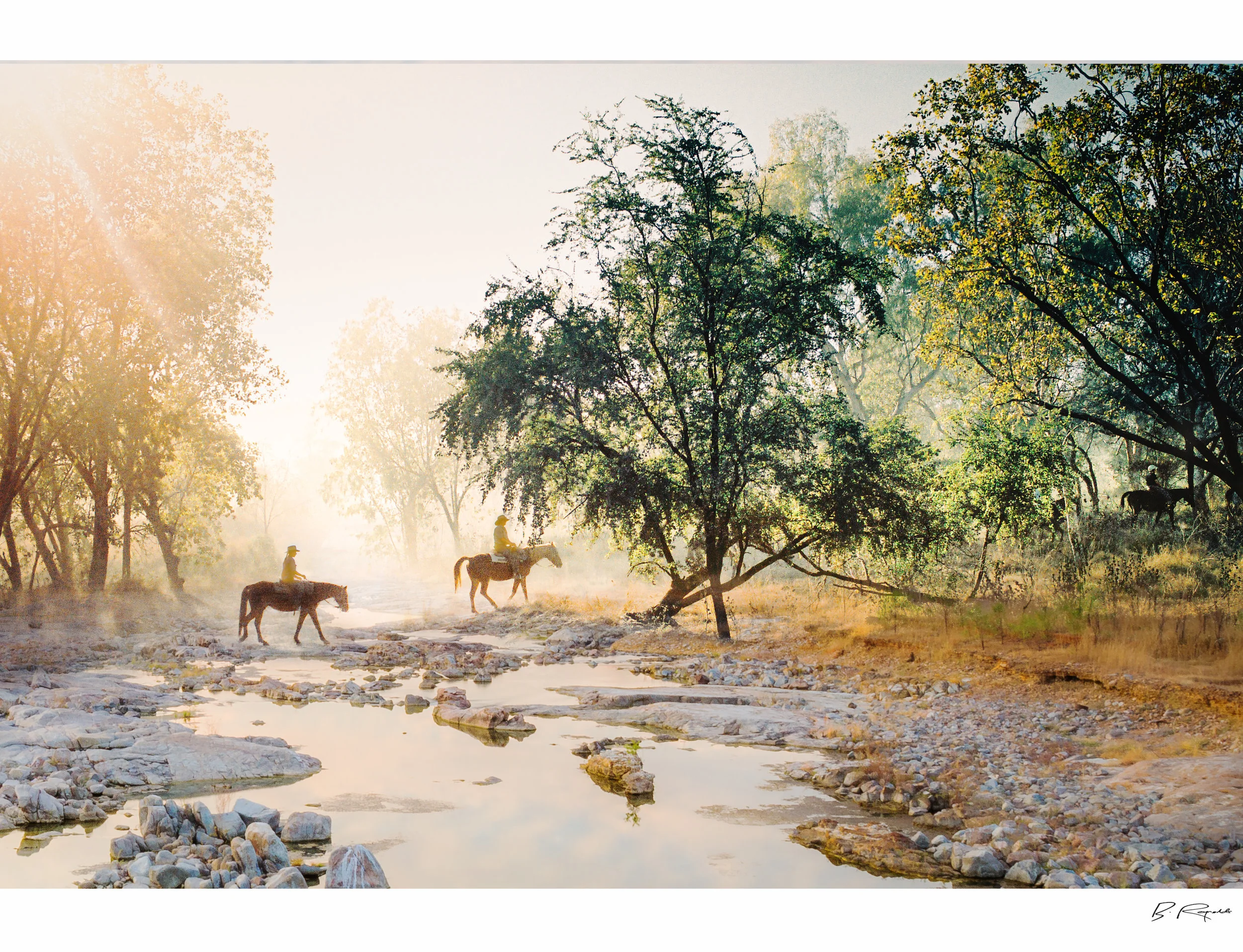 Horses in the Kimberley