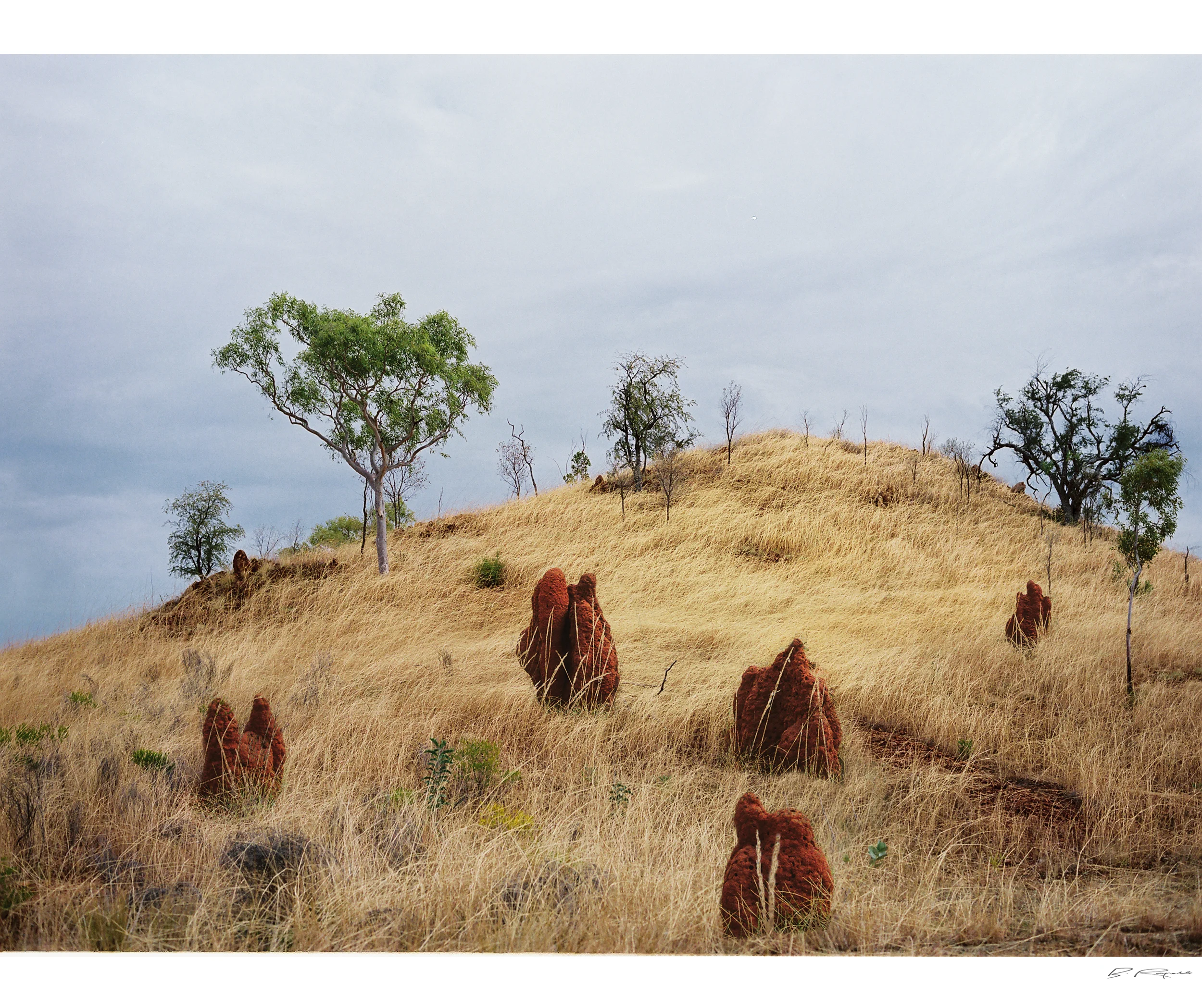 Halls Creek Colours 2