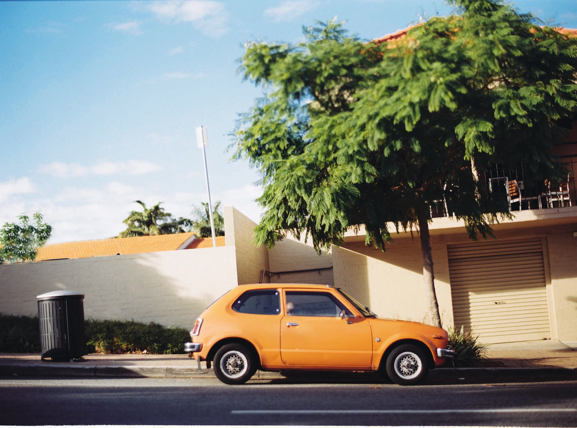Resting Under Tree Orange
