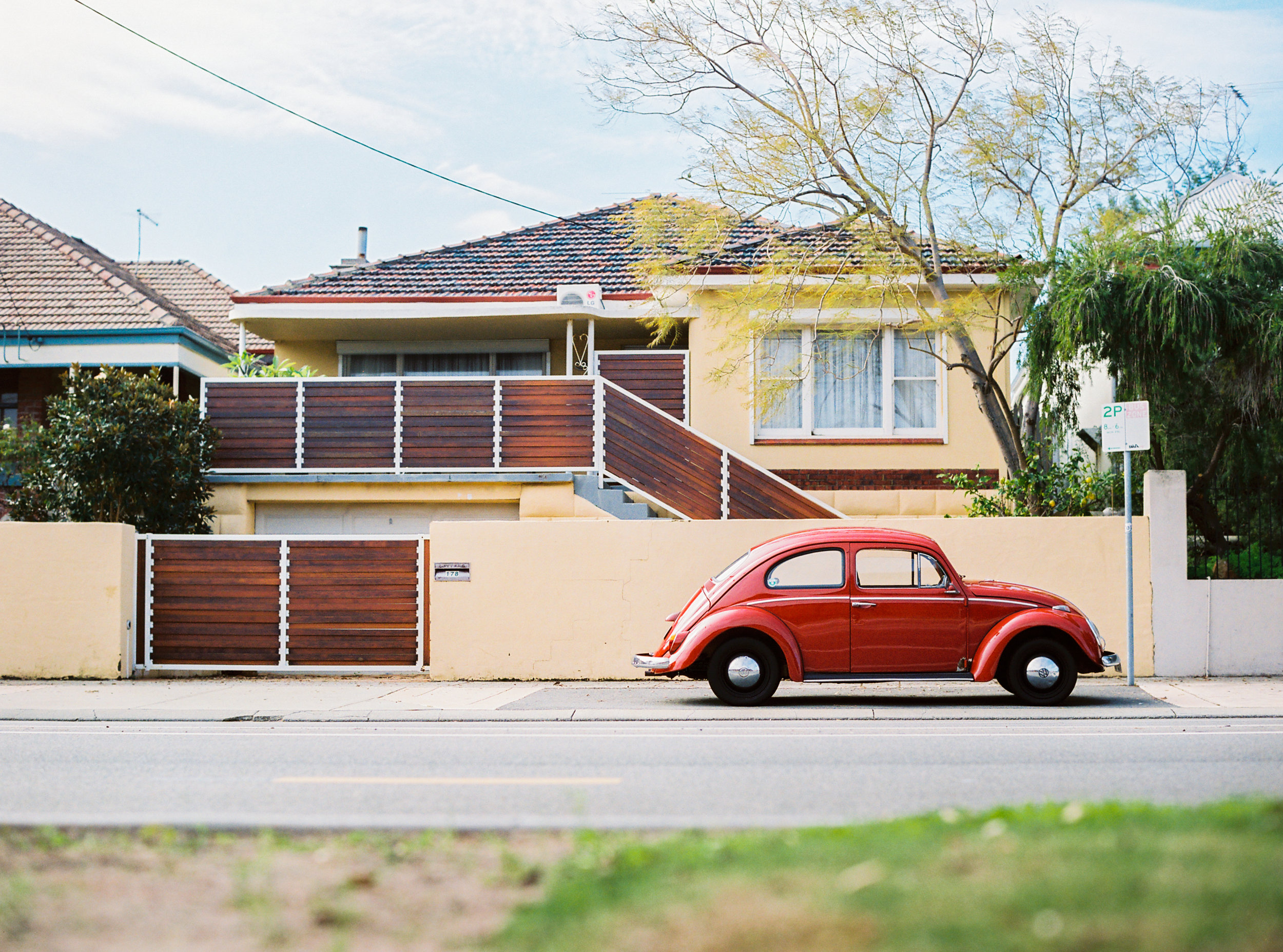 Resting Under Tree Red