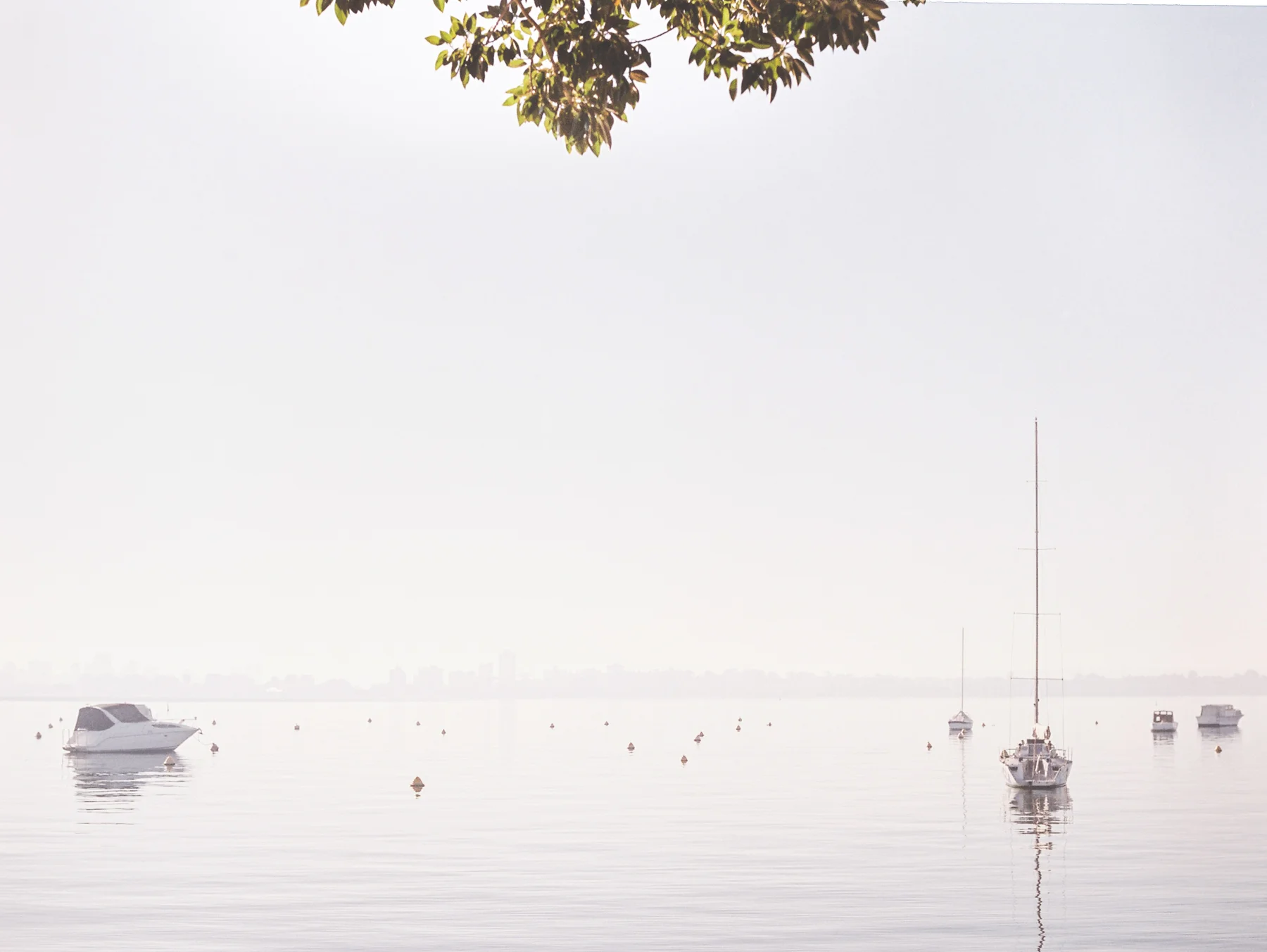 Swan River