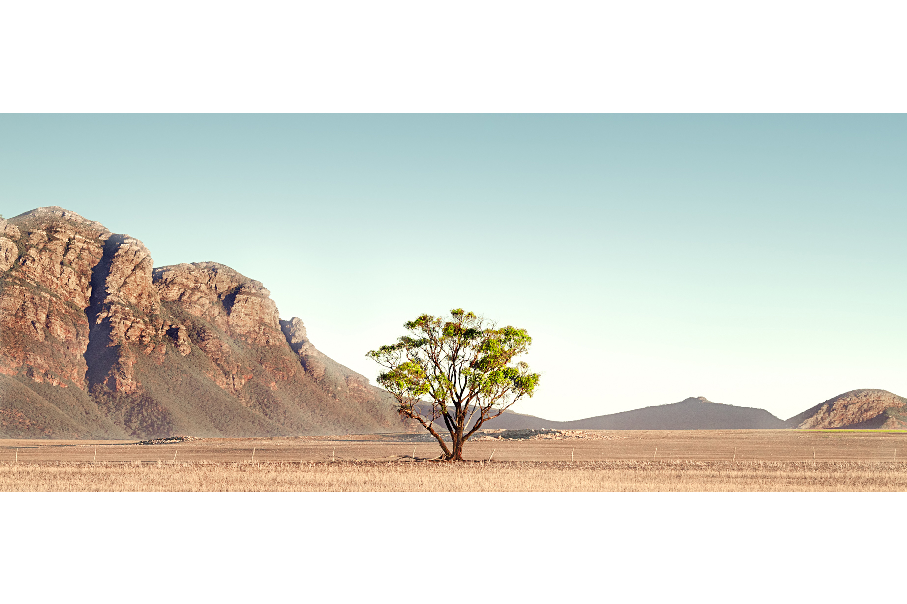 albany prints-4.jpg