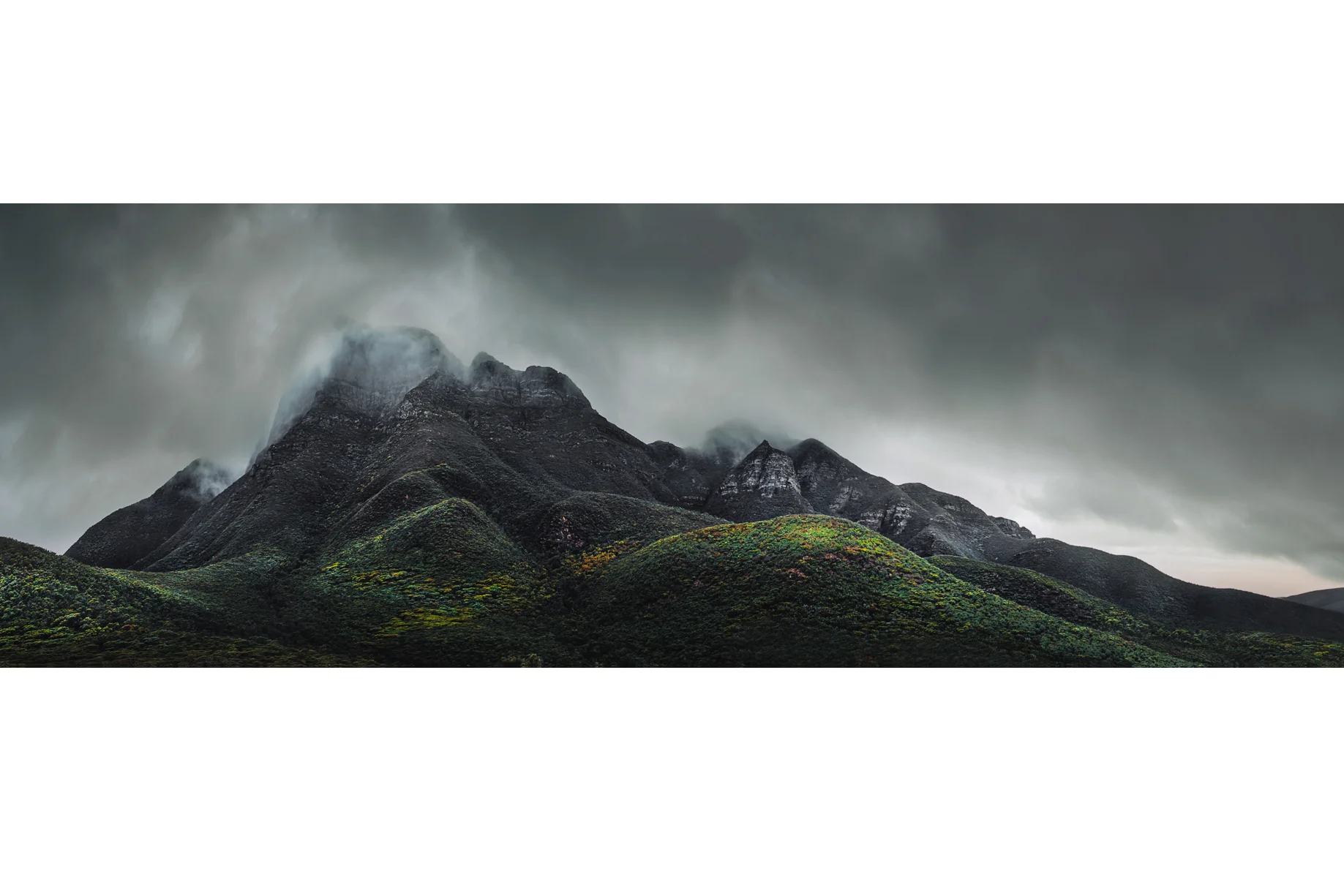 albany prints-5.jpg