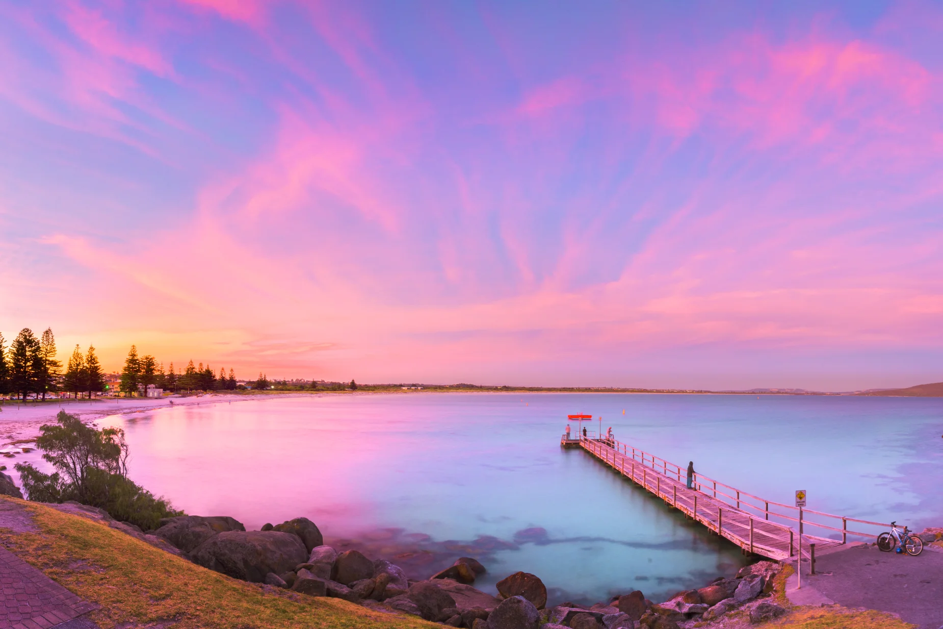 albany prints-4.jpg