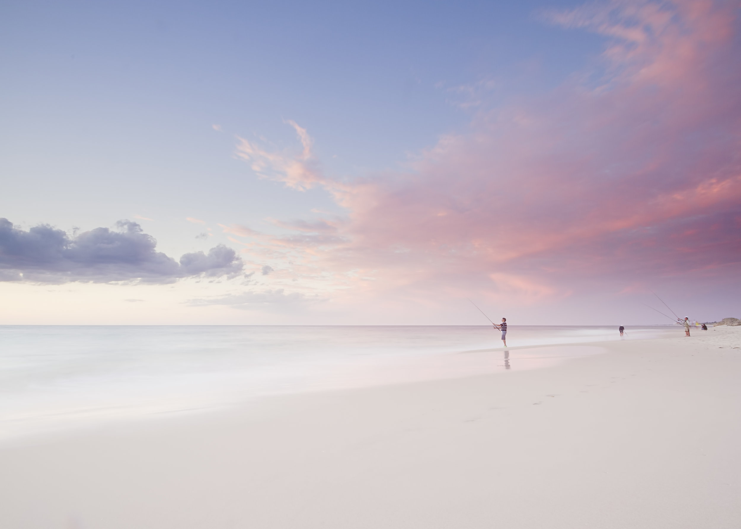 cott web-1.jpg