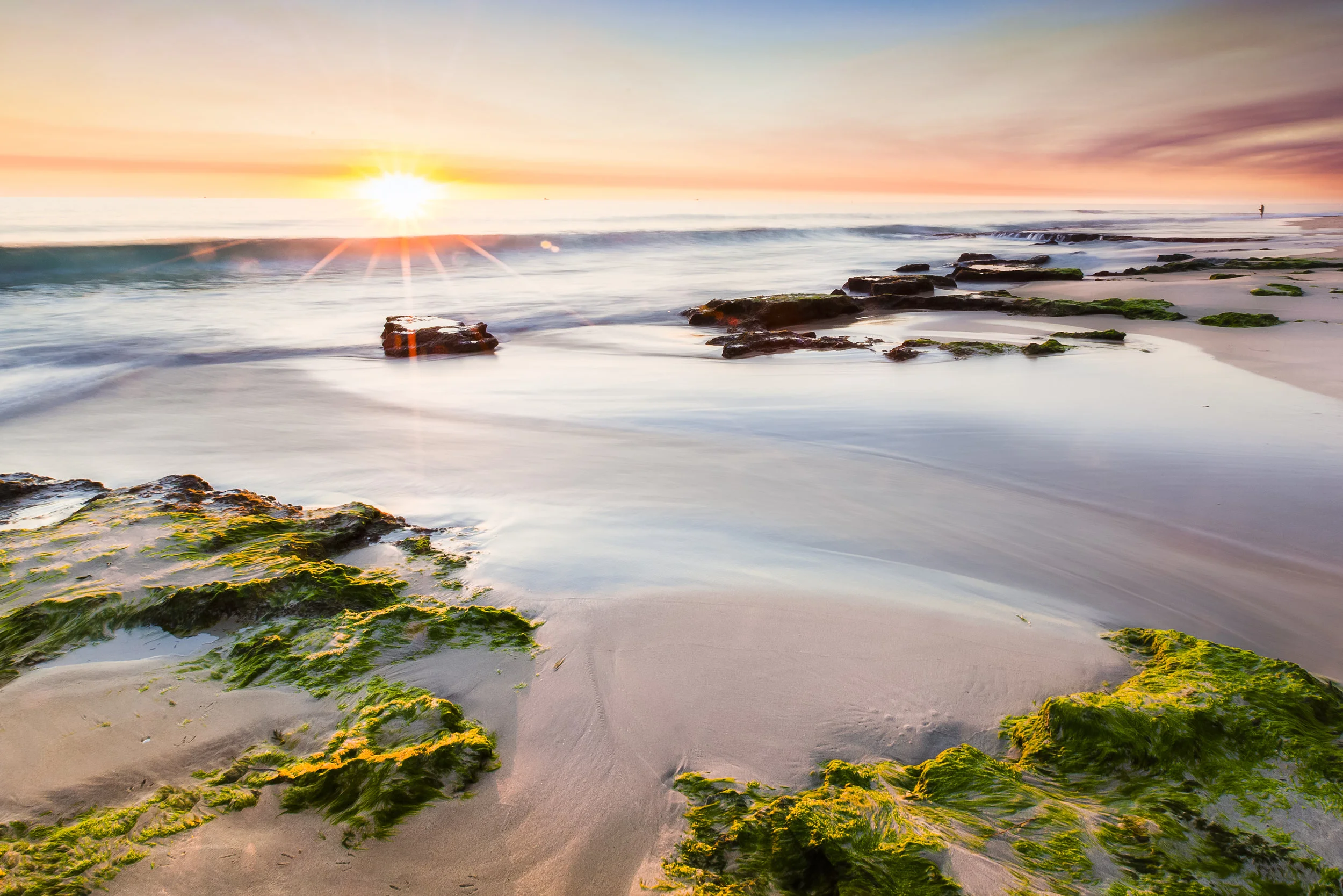 cott web-1.jpg