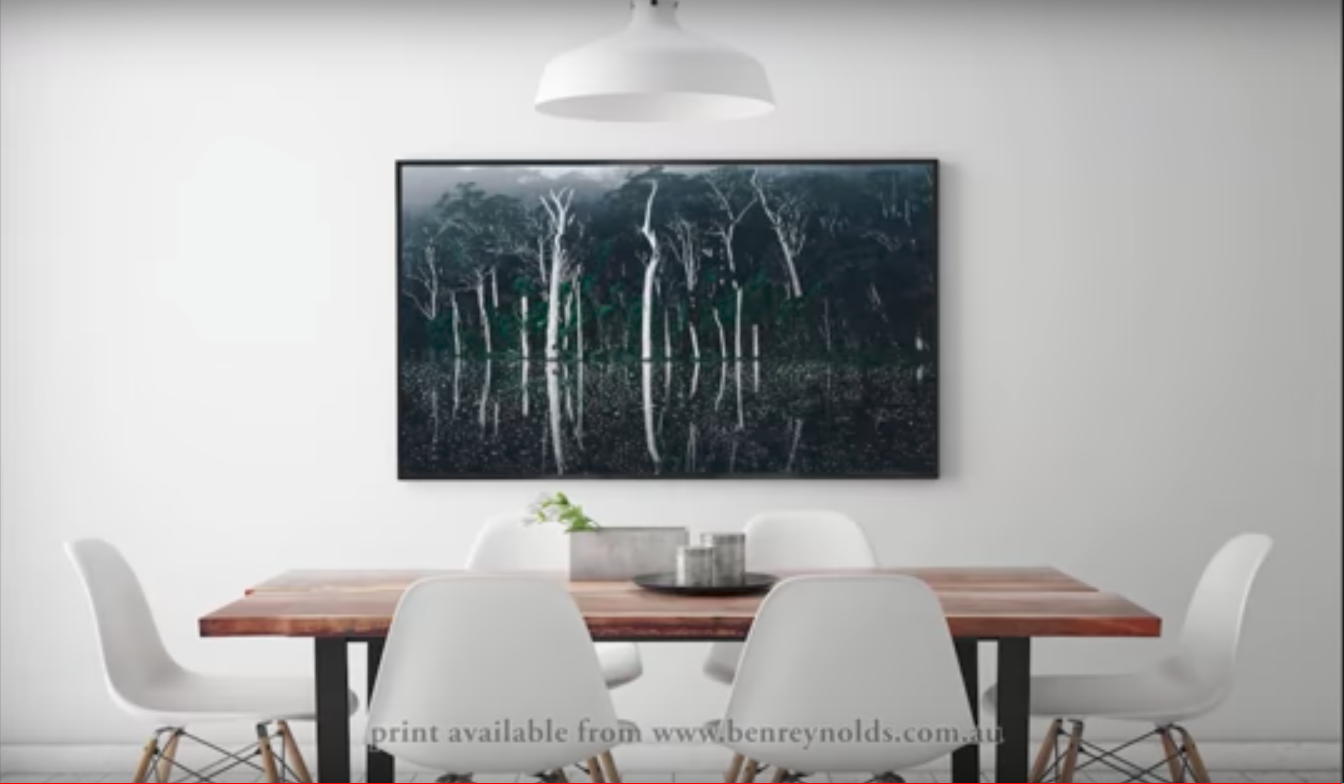 Mystic Karri Valley in Pemberton - Western Australia