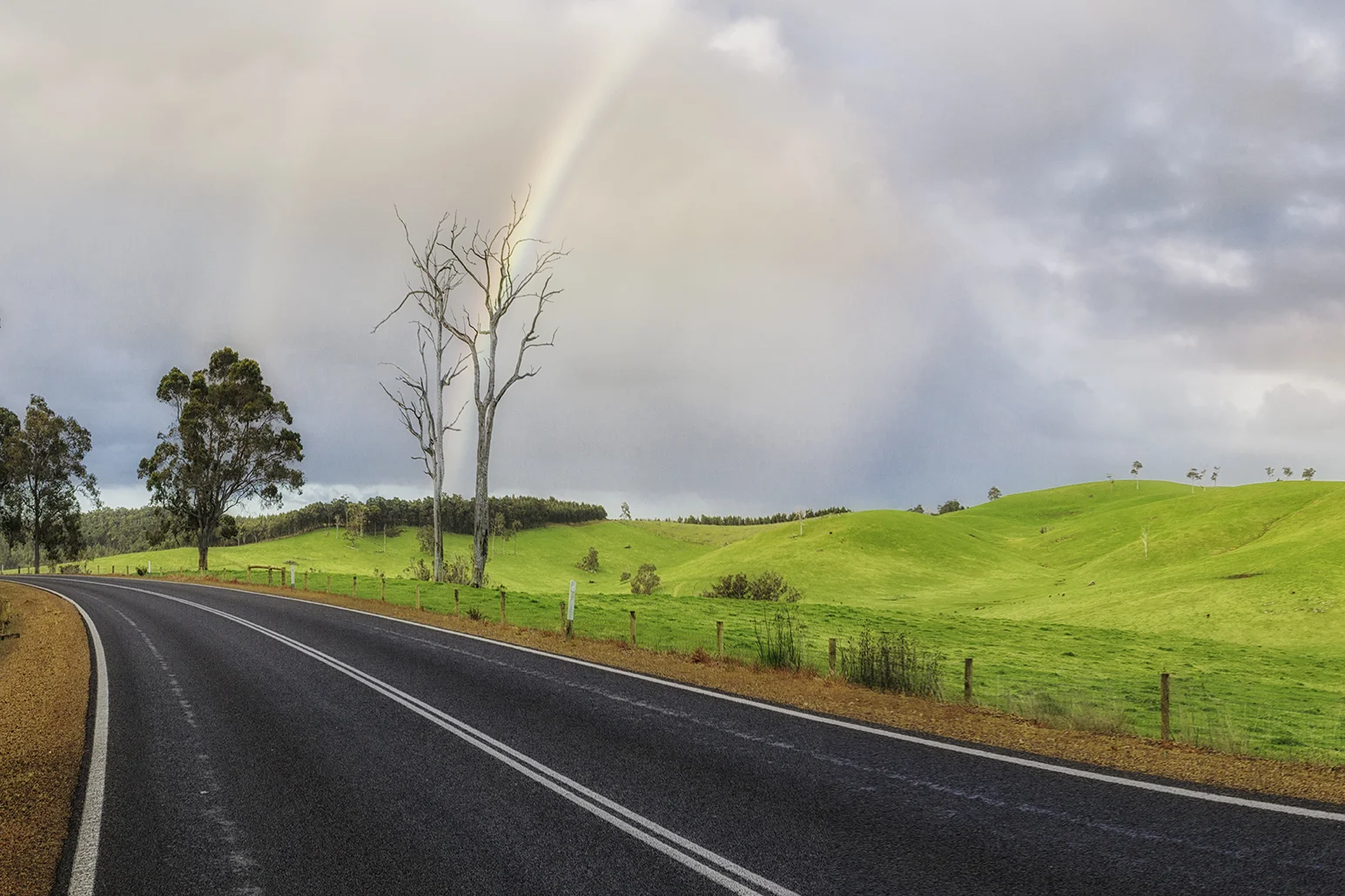 reduced nannp web.jpg