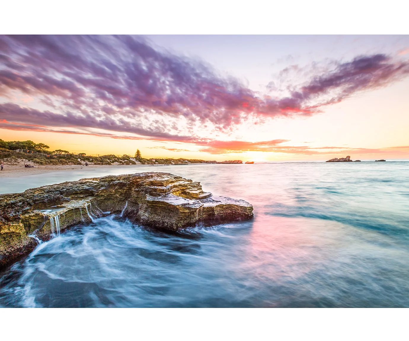 rottnest pinkysfdfsdf.jpg