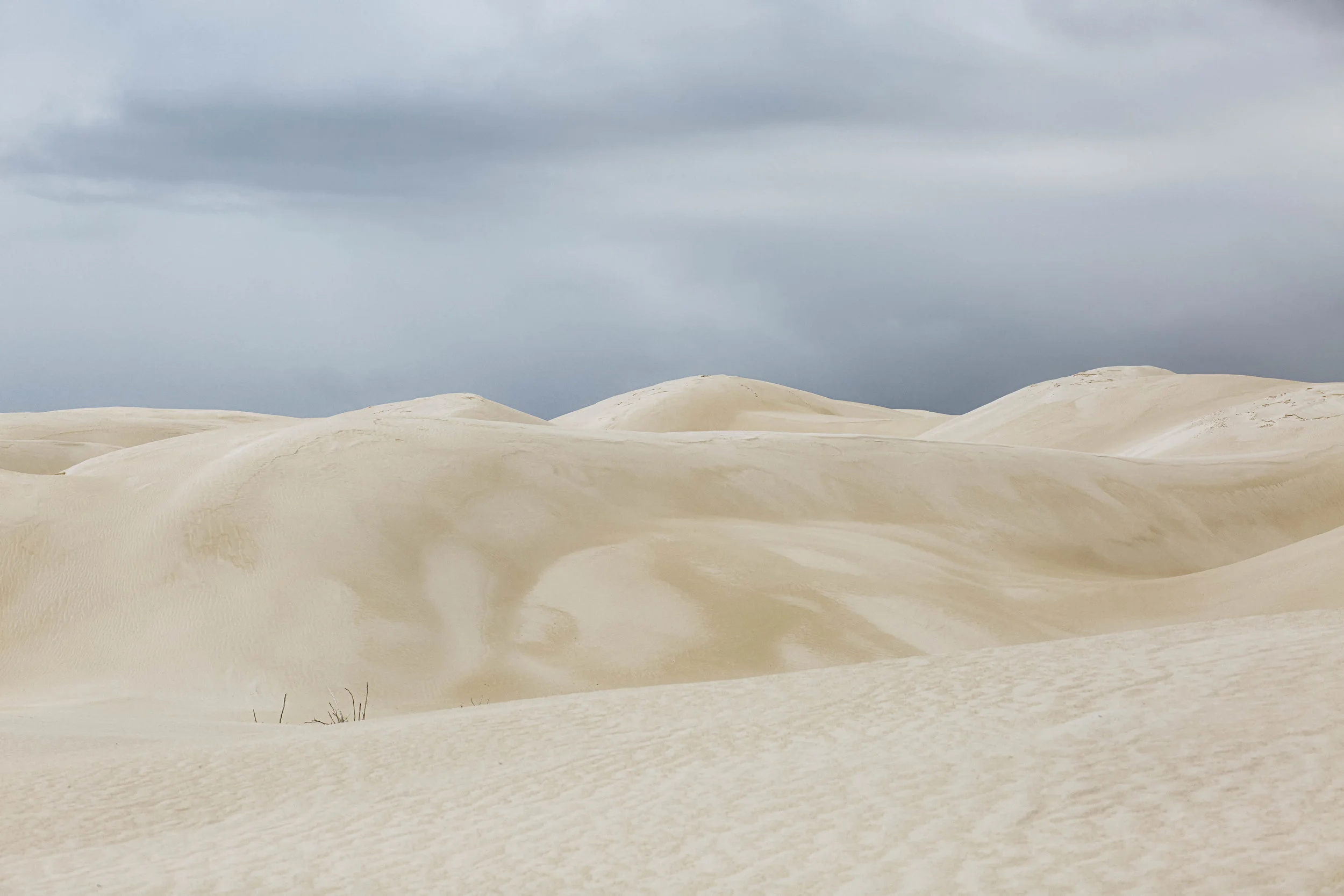 sanddune2.jpg