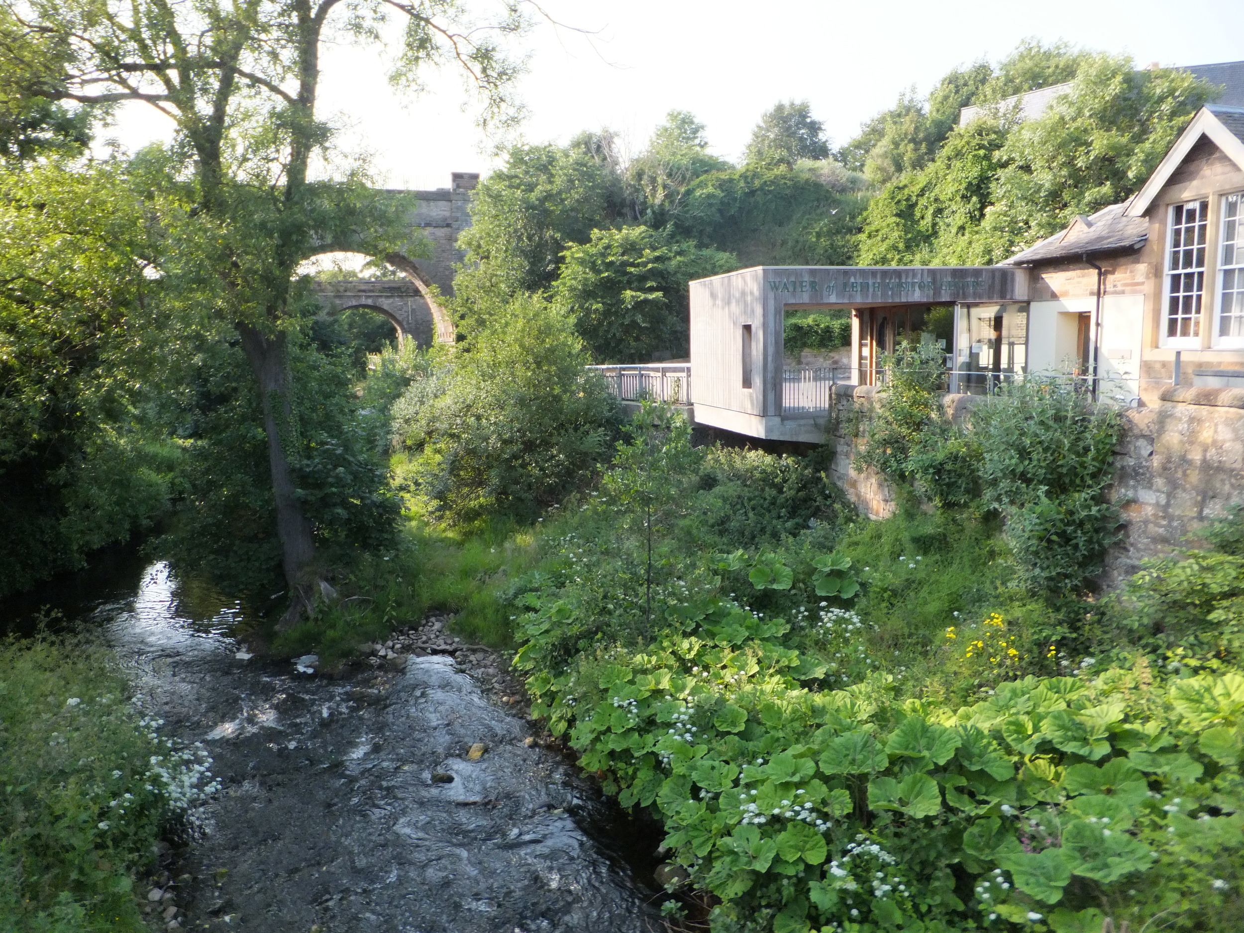 Water of Leith, photograph by Harry Smith