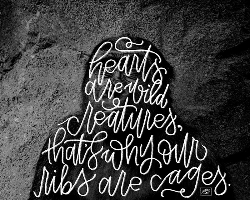 "Wild Creatures" - Image