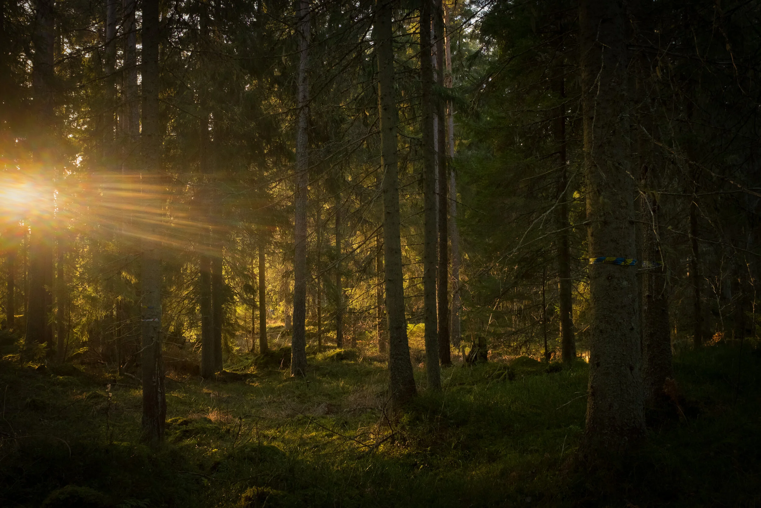 Vagnåla, Sweden.