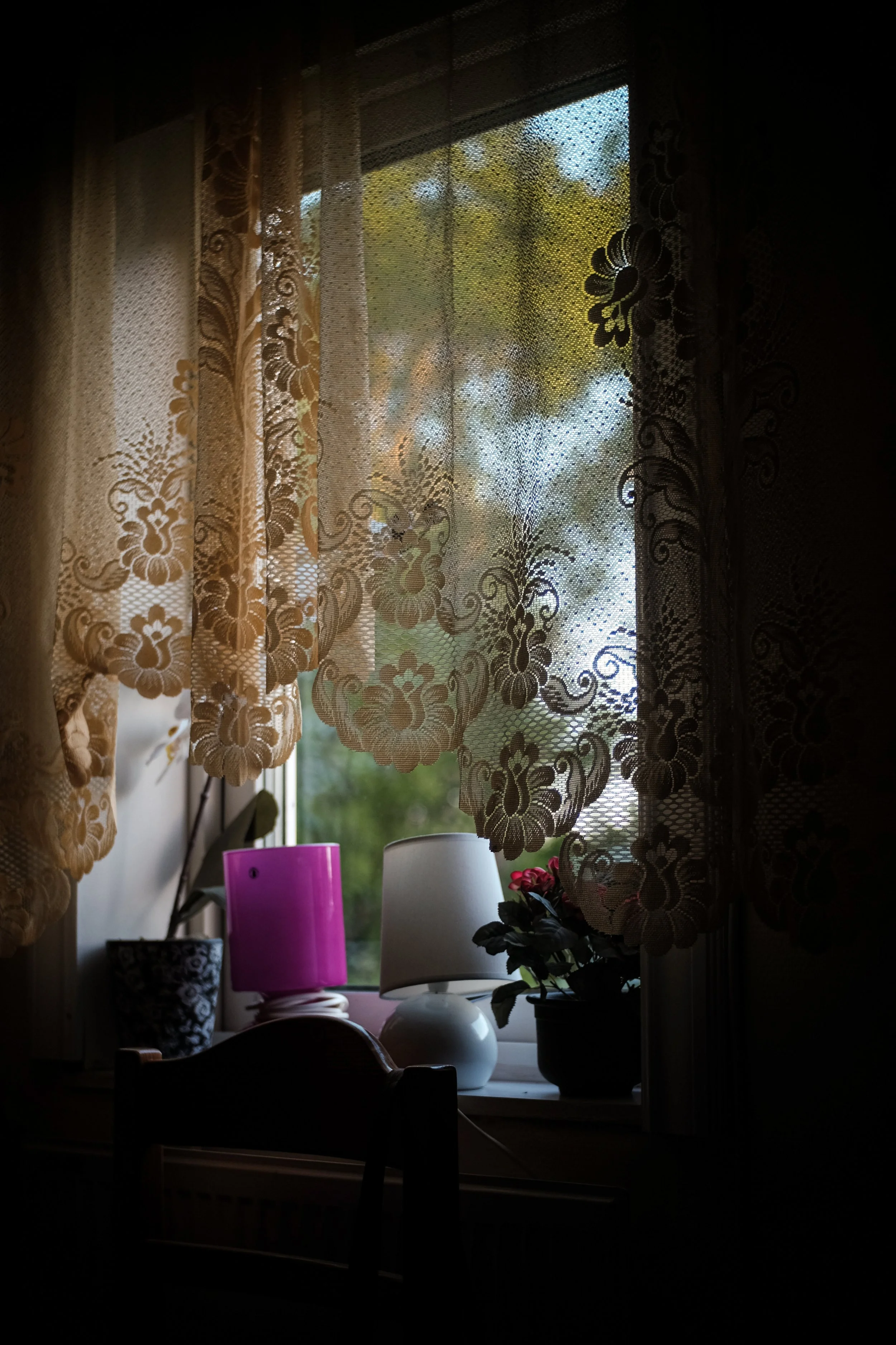 Summer morning light, Vagnåla, Sweden.