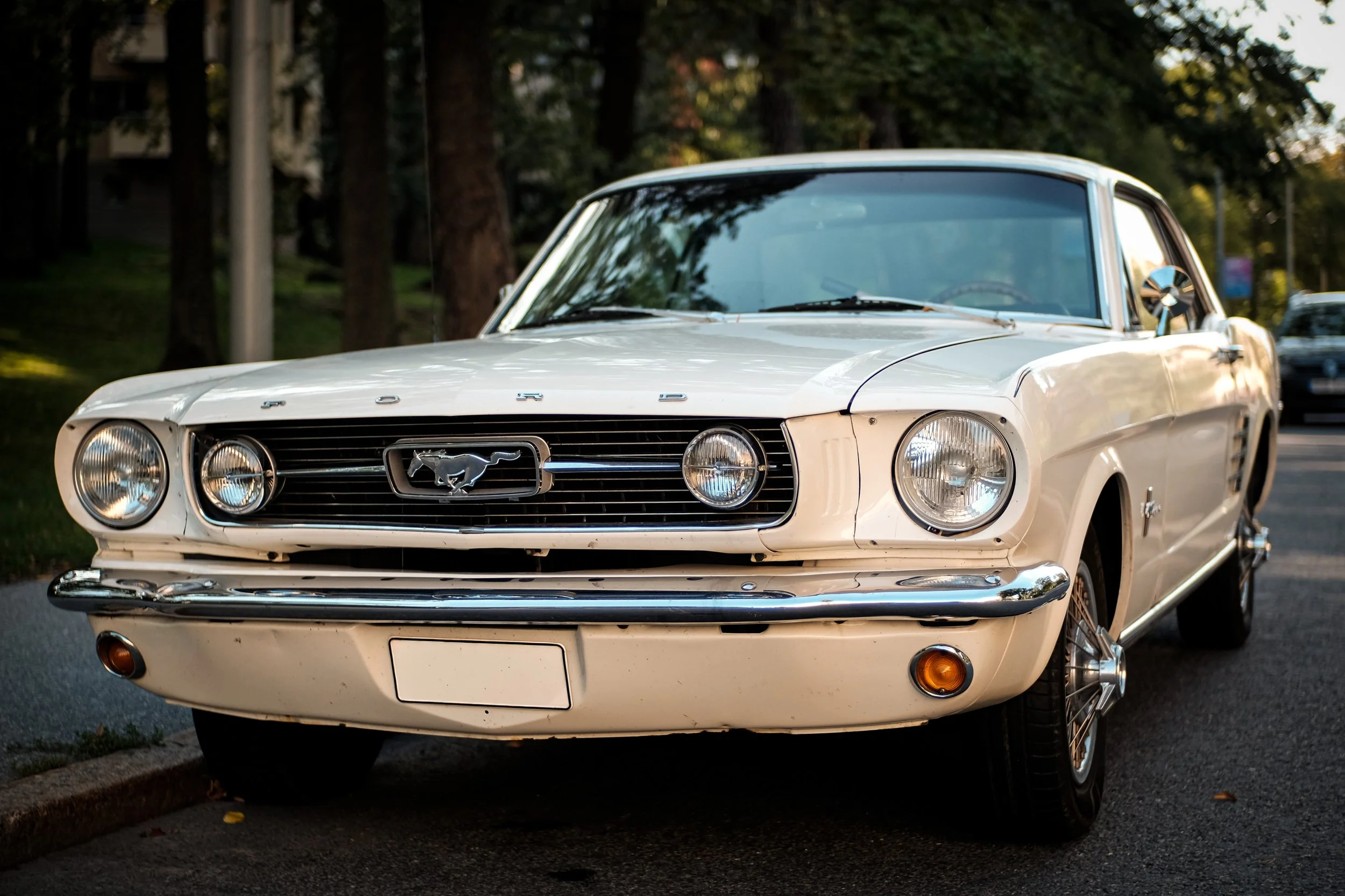 Ford Mustang-2019_0902_16200900.jpg