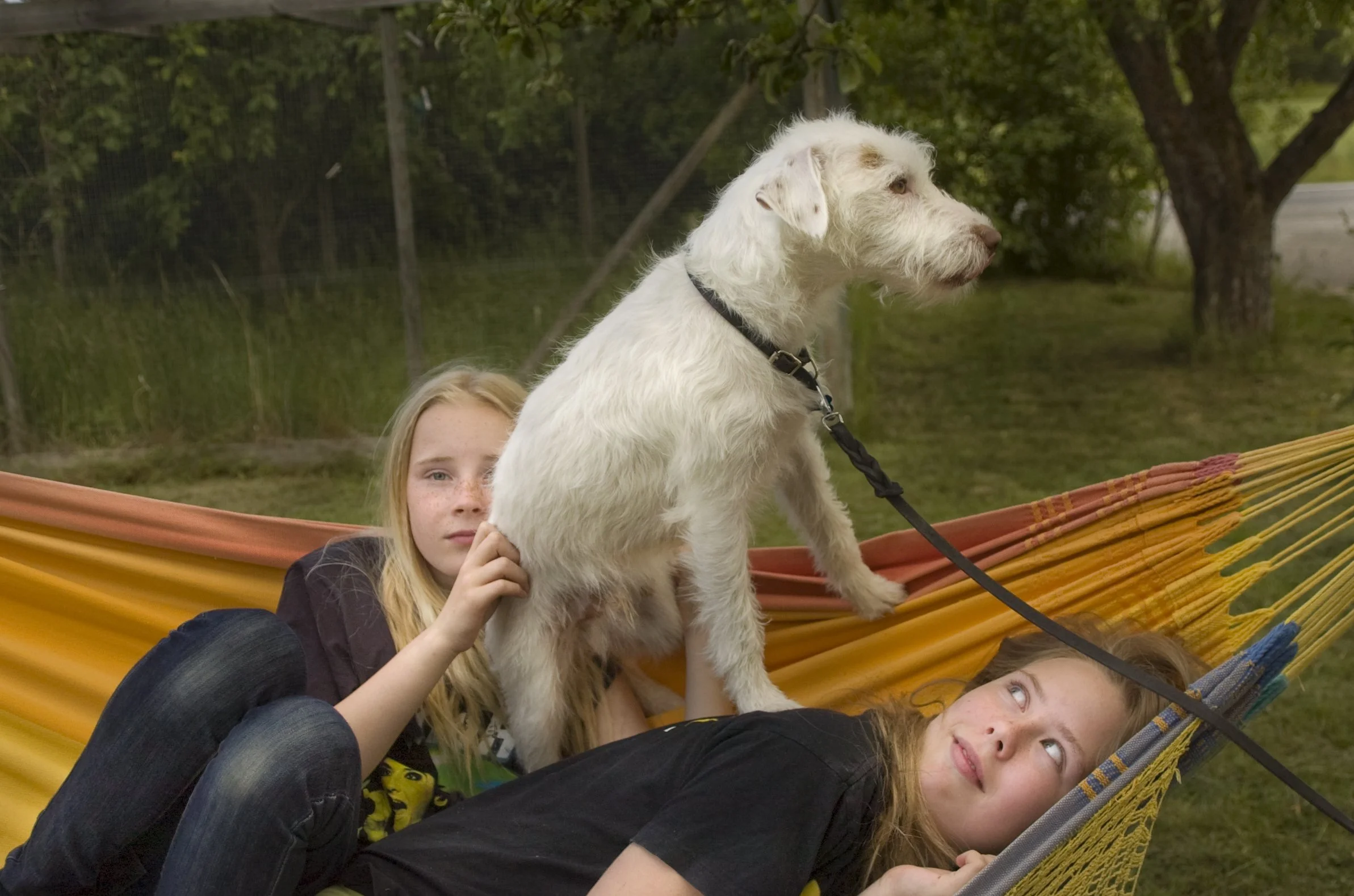 Milou & his human friends
