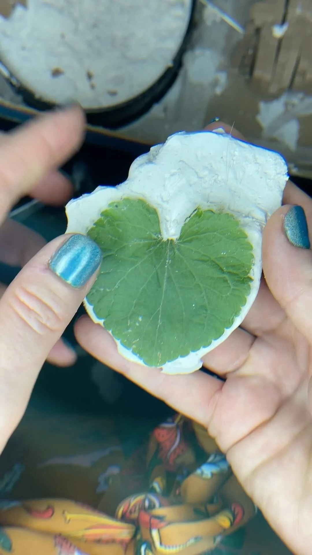 Abitur Schnitt 0 9 Abitur Schnitt 0 9