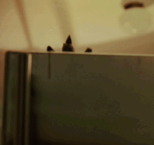 Jul-19-2024 06-06-27.gif