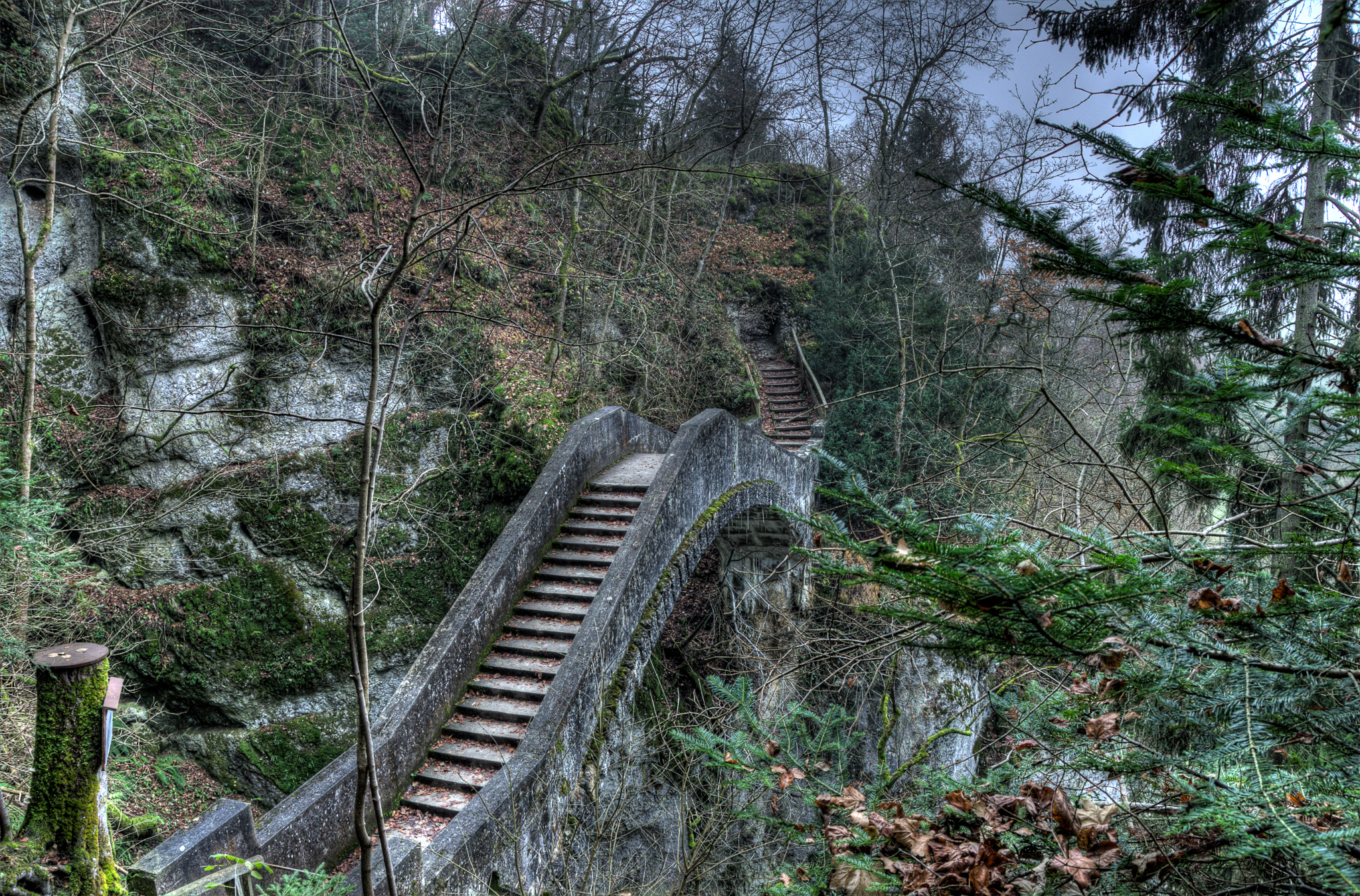 20121117-_DSC1976_7_8_tonemapped_1.jpg