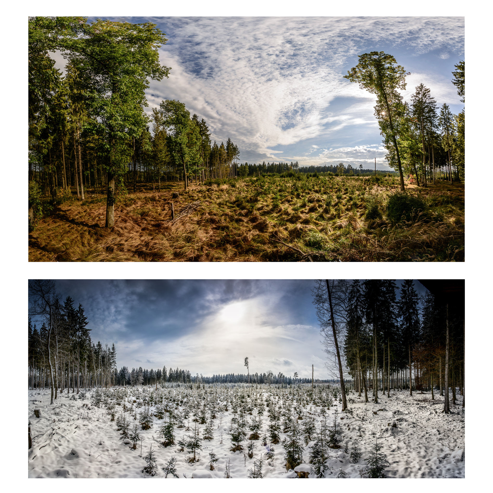 Josefslust - Frühling und Winter
