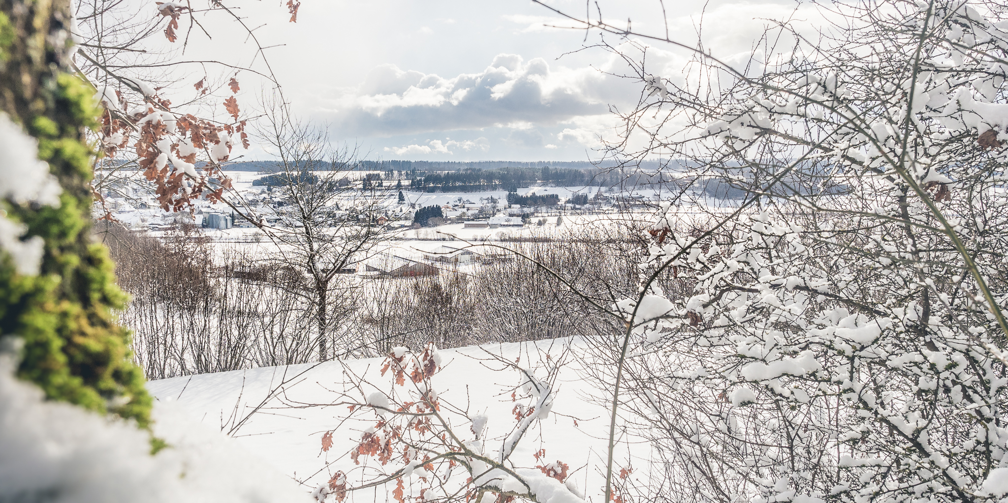 Göggingen - Winterliche Ausblicke