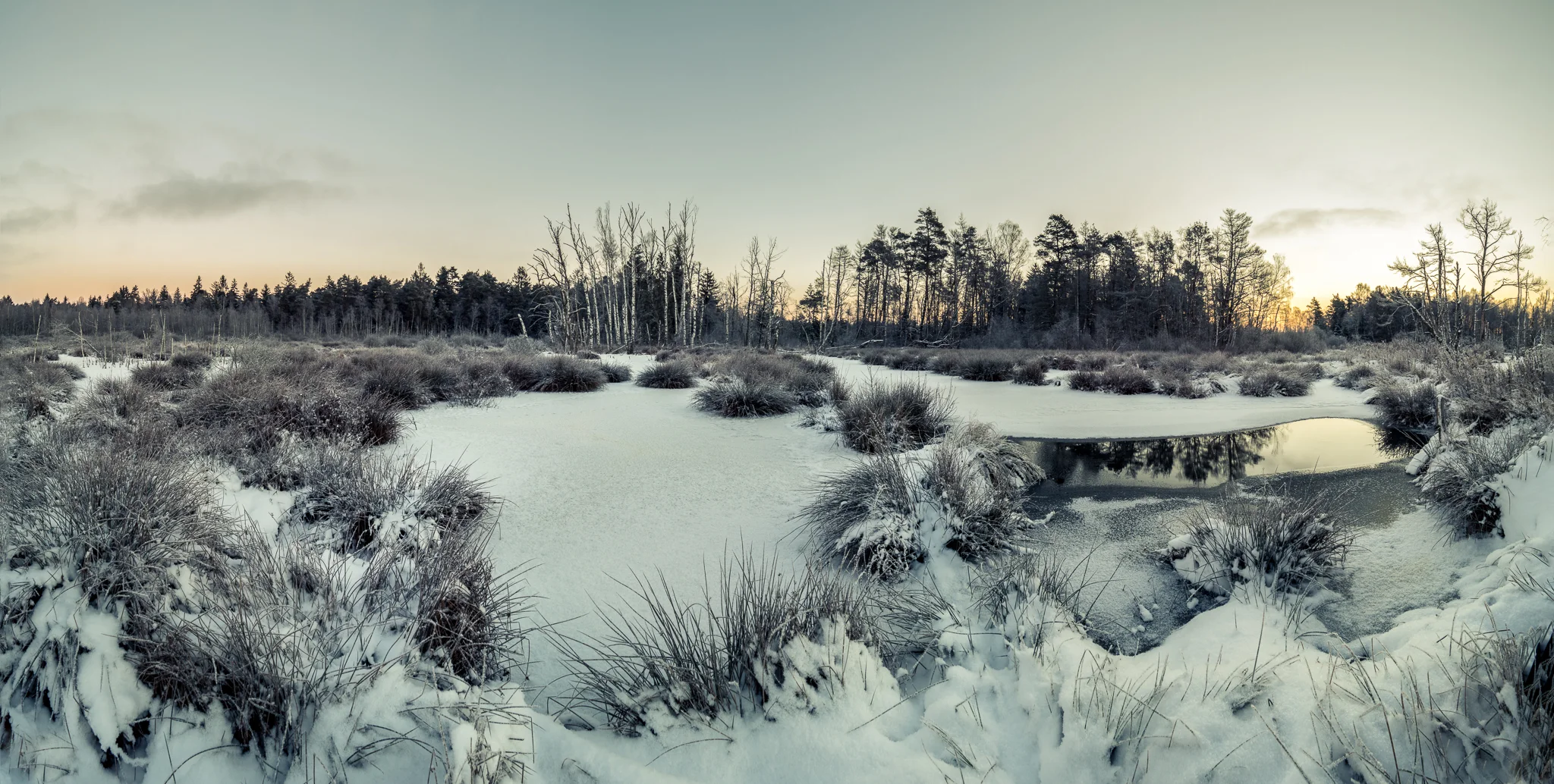 170106-IPad-20170106-P1060234-Bearbeitet.jpg