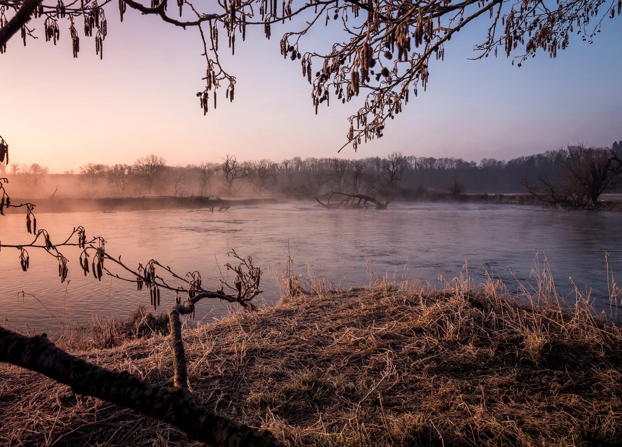 Flusslandschaft Donauwiesen