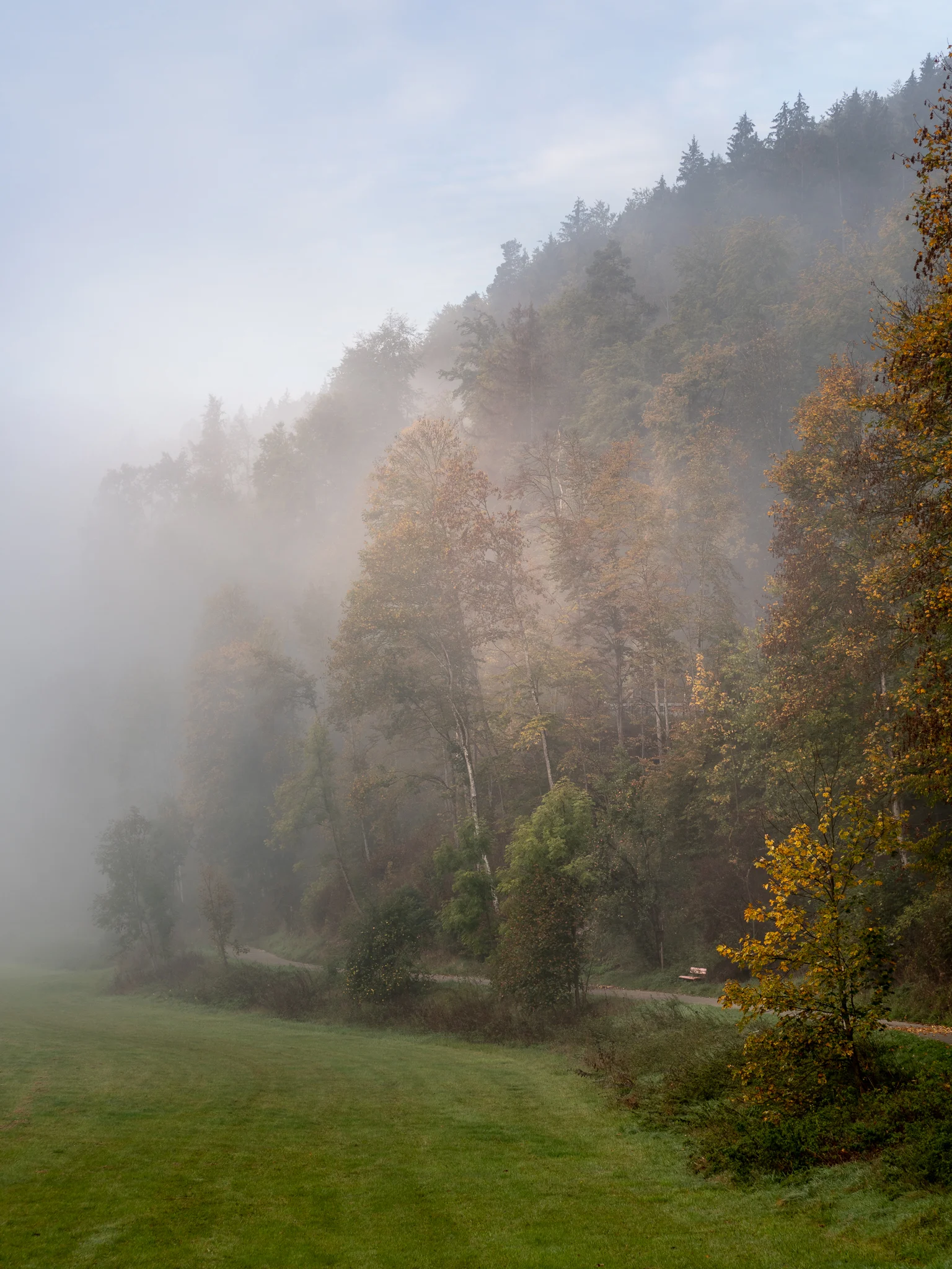 181006-IPad-20181006-OLY13215.jpg