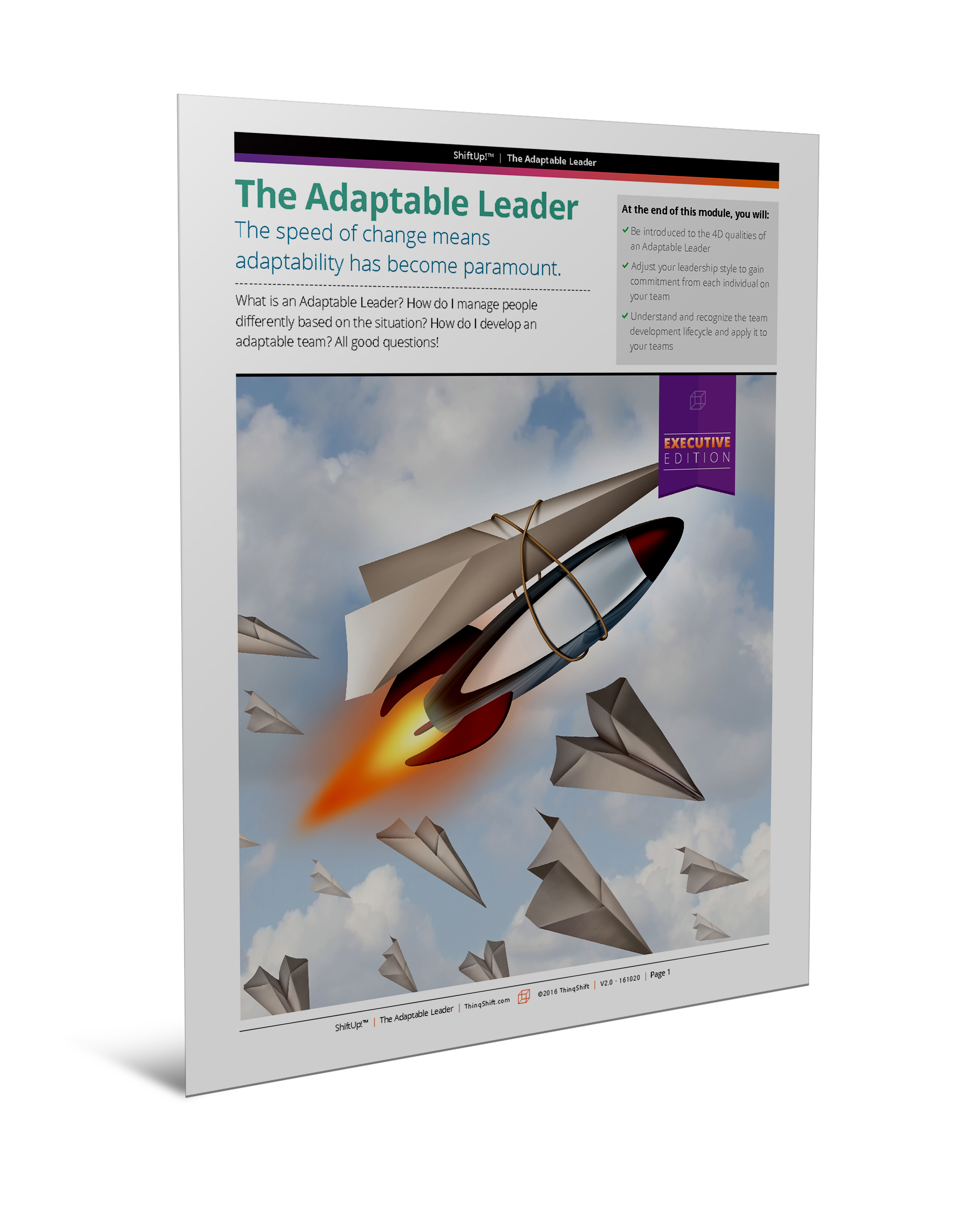 The Adaptable Leader
