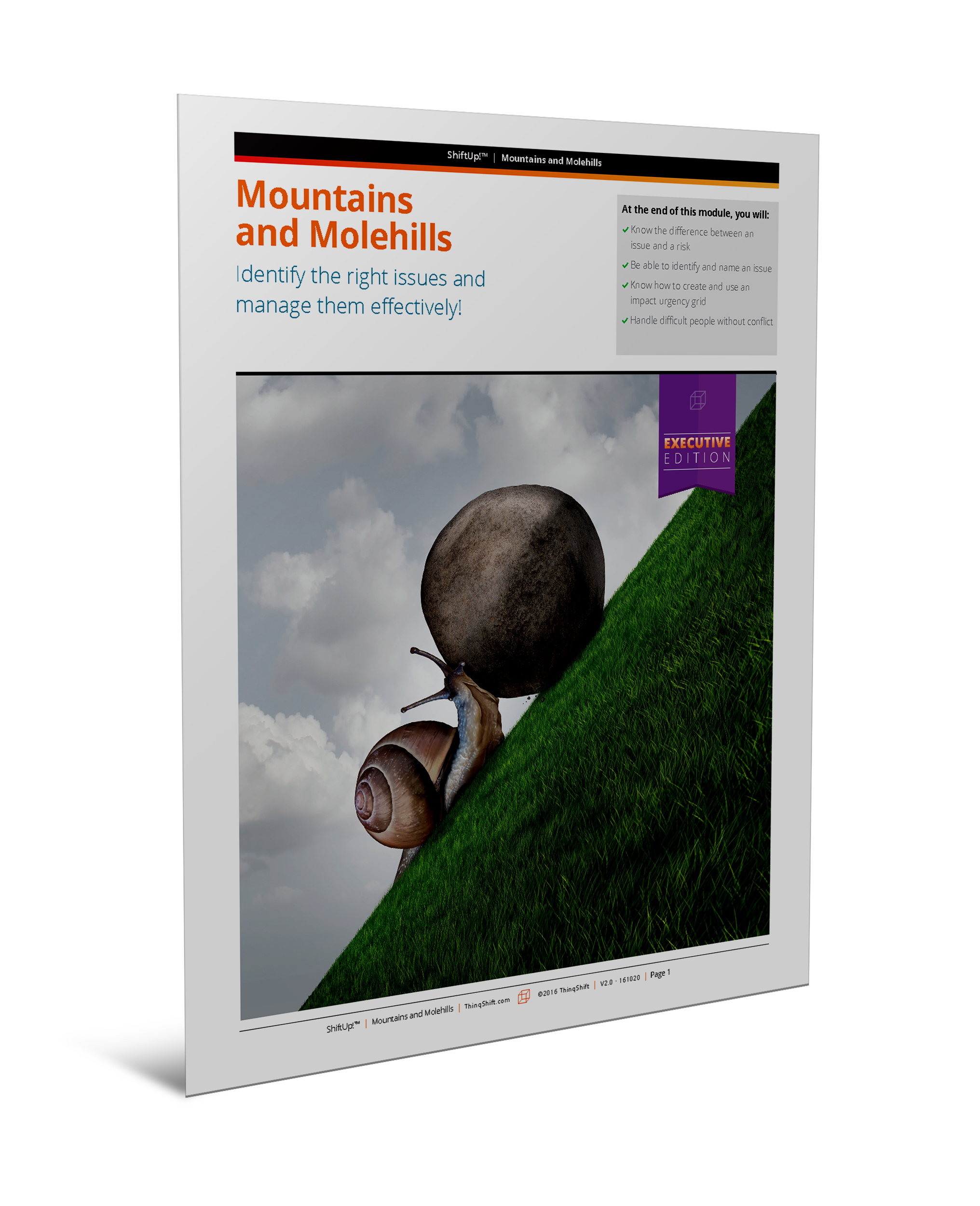 Mountains & Molehills
