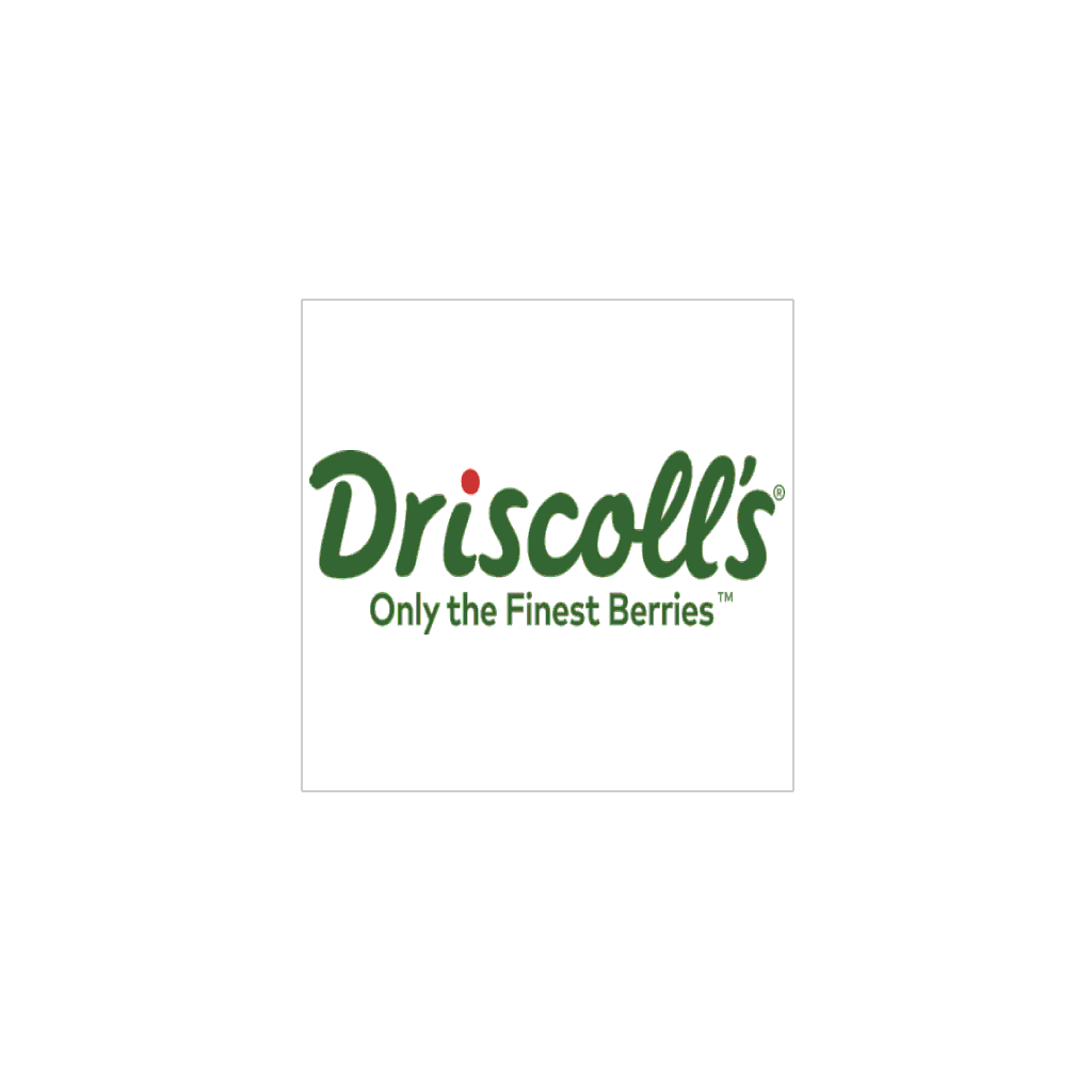 Driscoll's