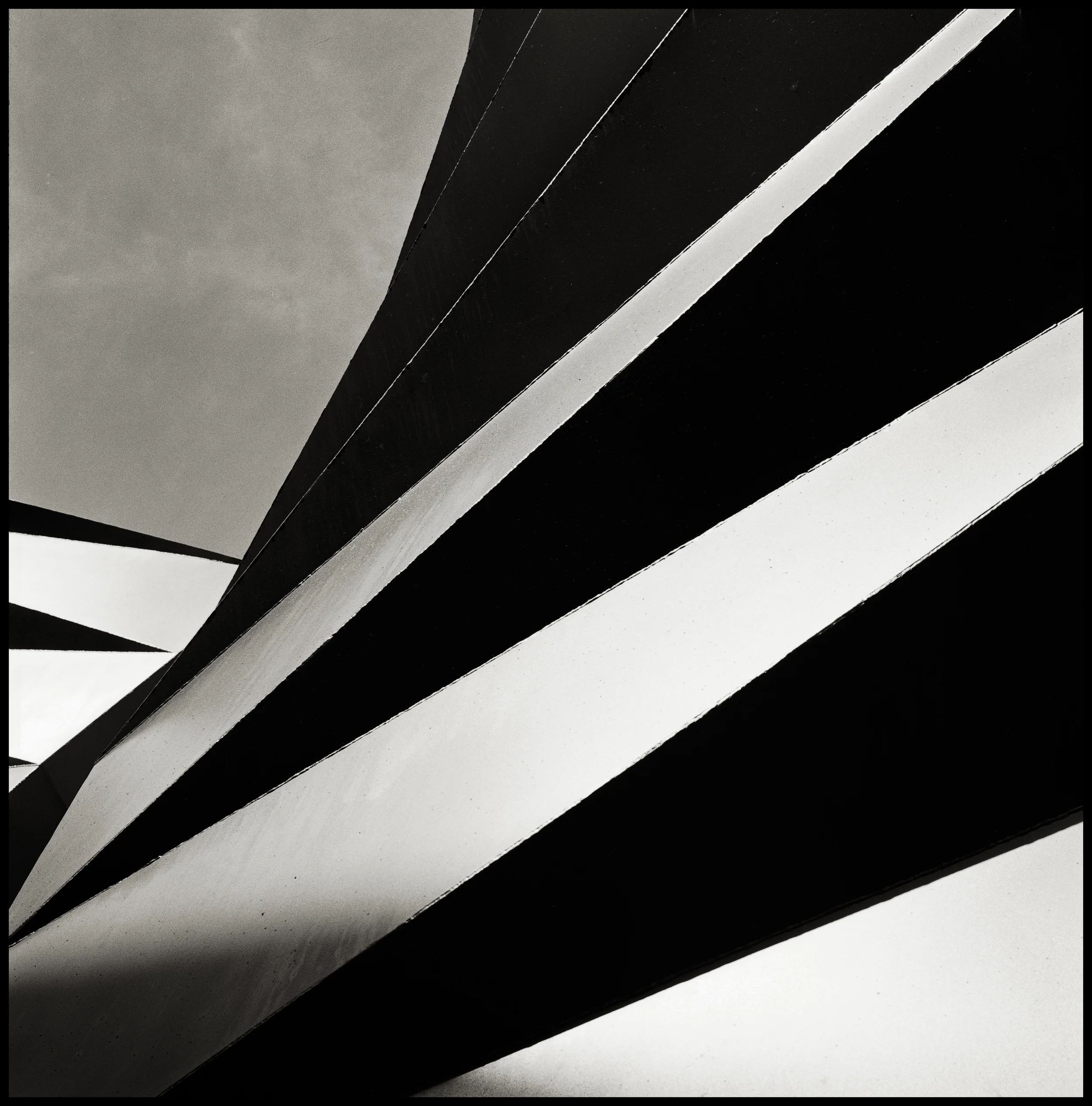 50x50 - Copyright Nicolas Borenstein, all rights reserved