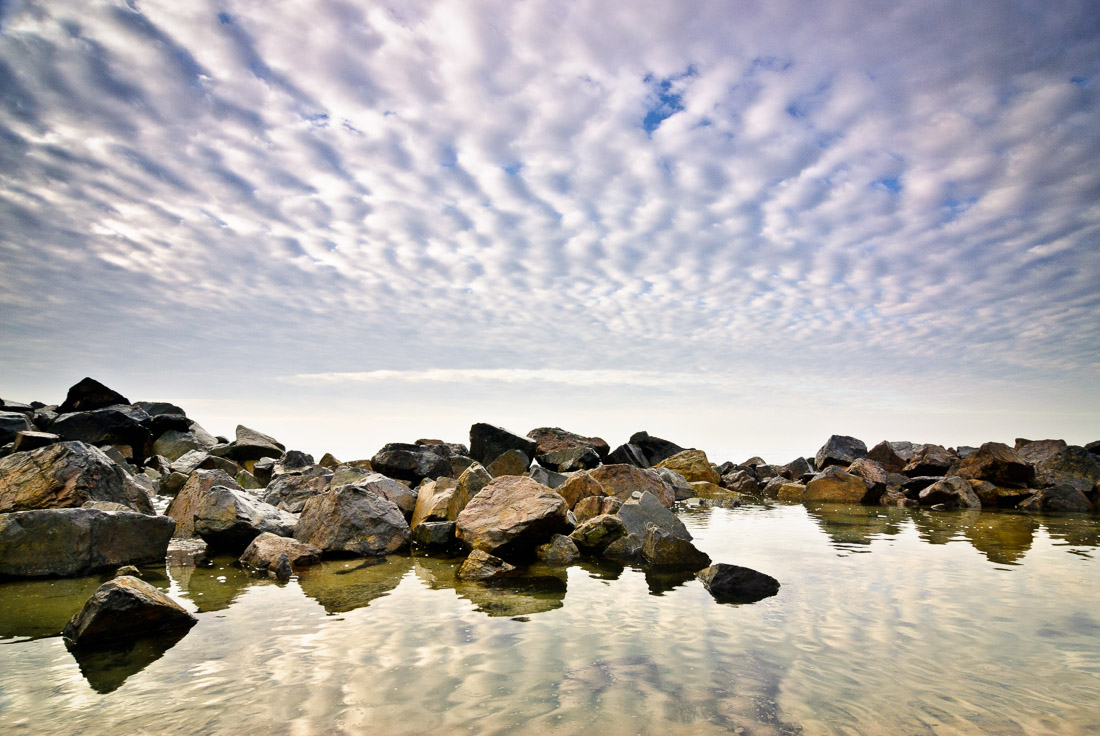 Tide Pool