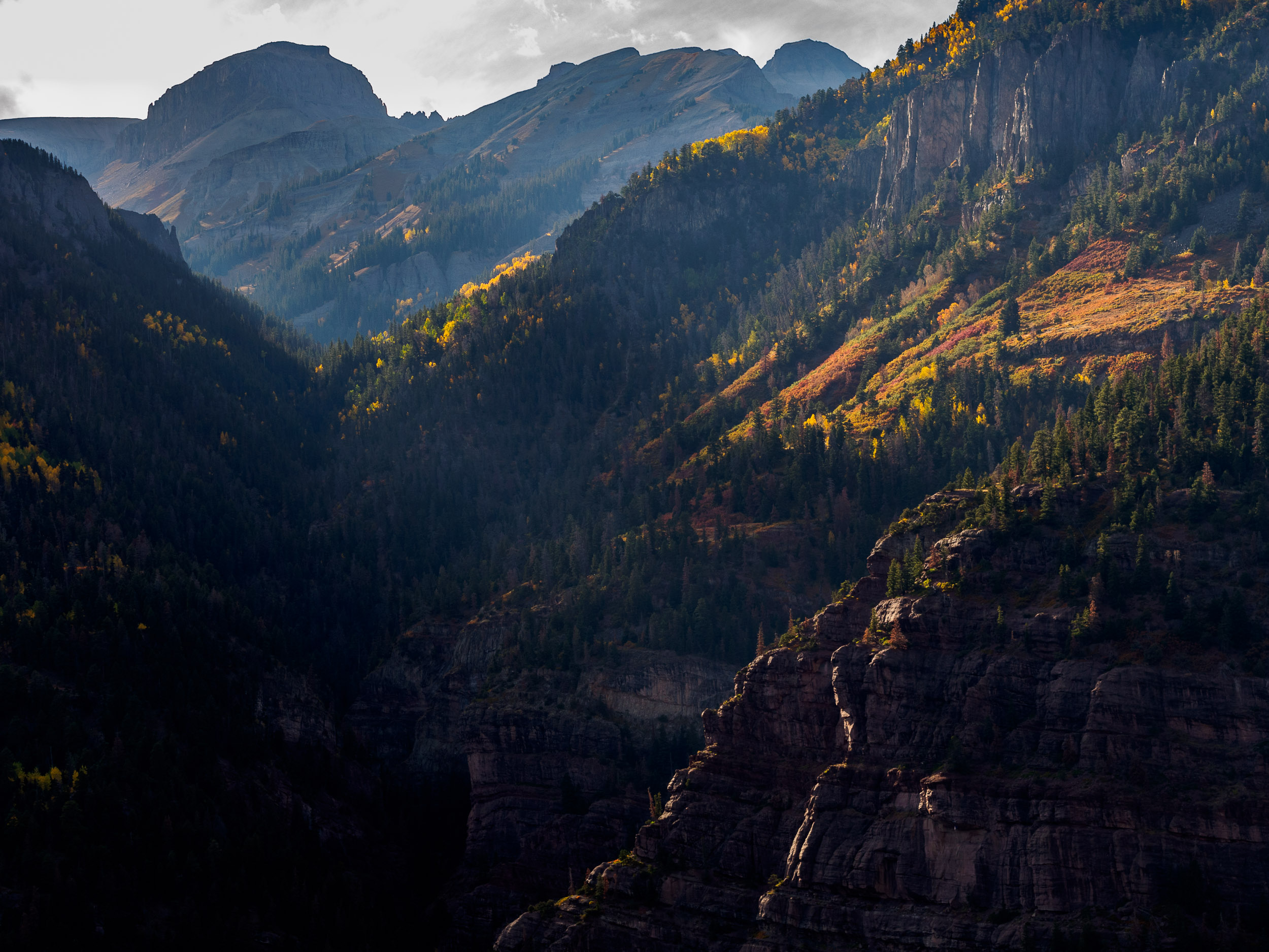 Ouray View