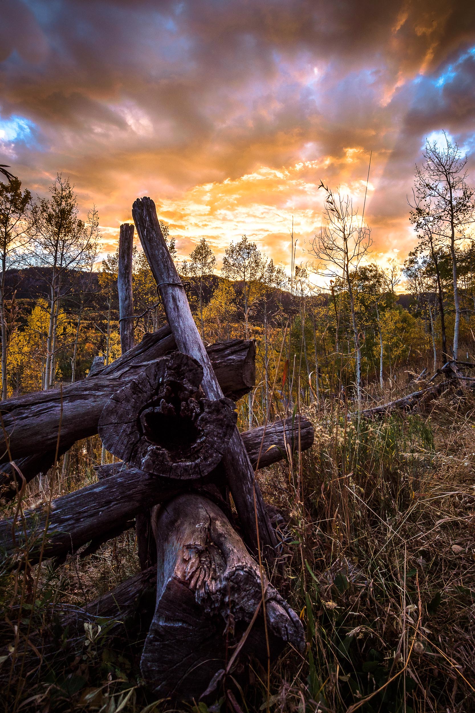 Fall Fence