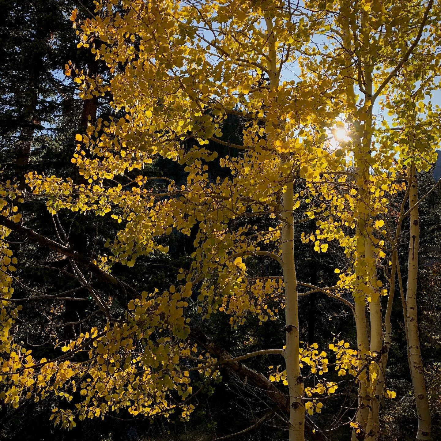 Evening hike in Rocky Mountain National Park