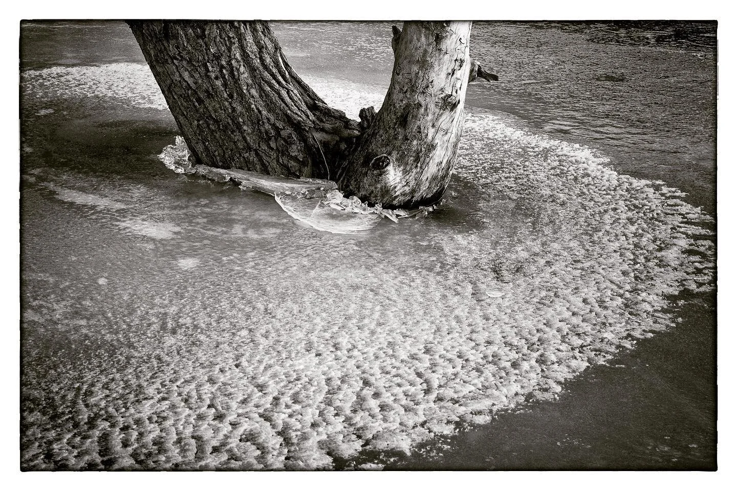 About ready for spring. #horsetoothreservoir #fortcollins